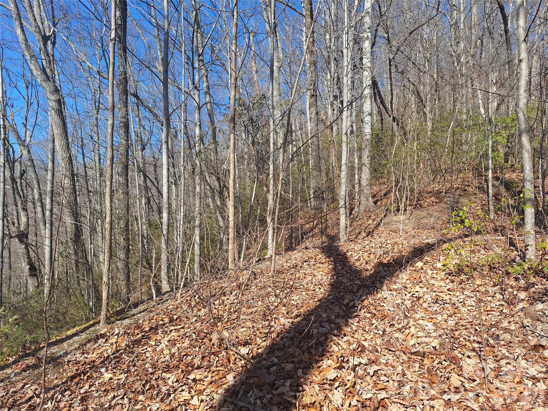 965 Wolf Pen Road - Photo 22