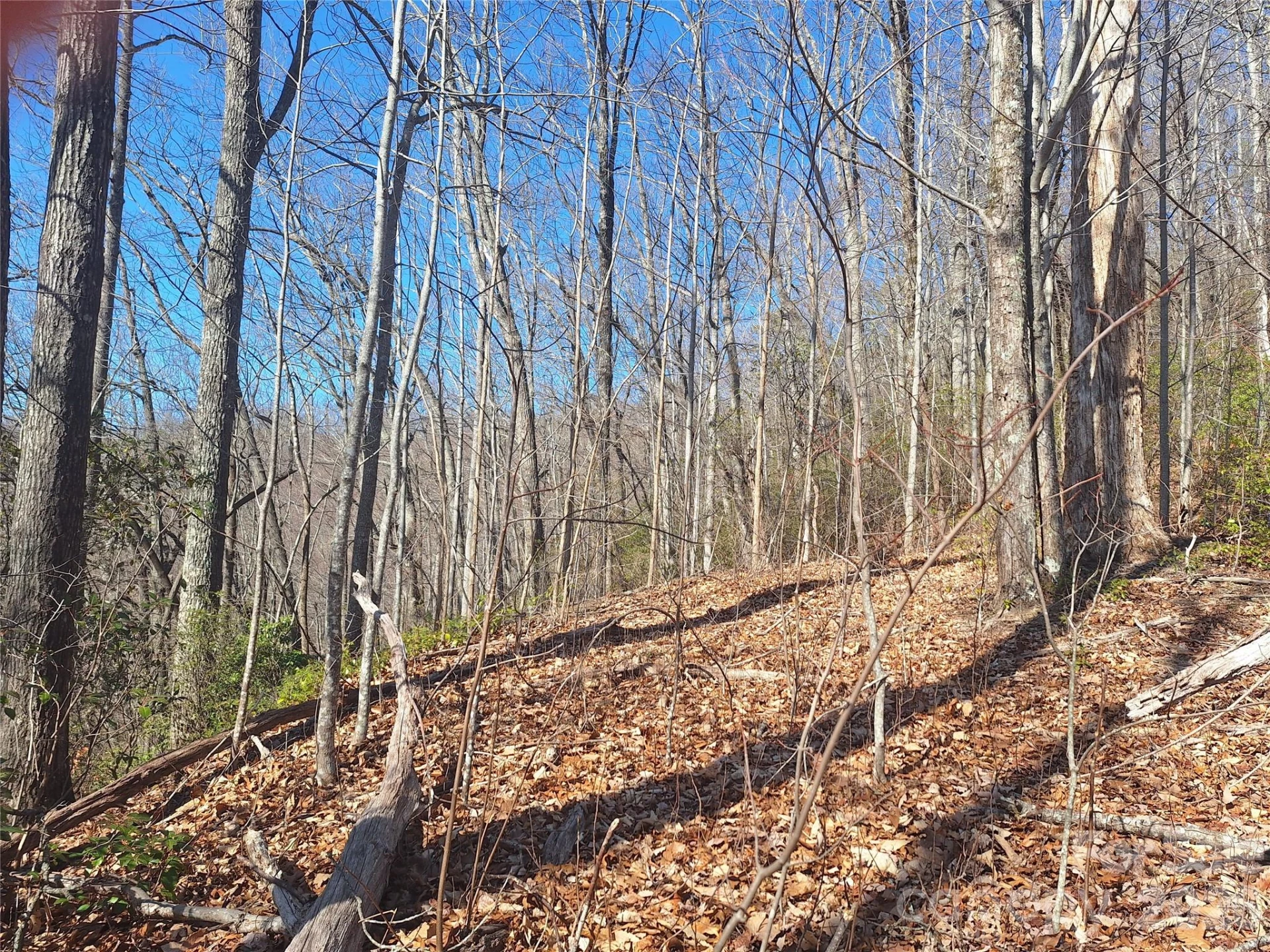 965 Wolf Pen Road - Photo 23