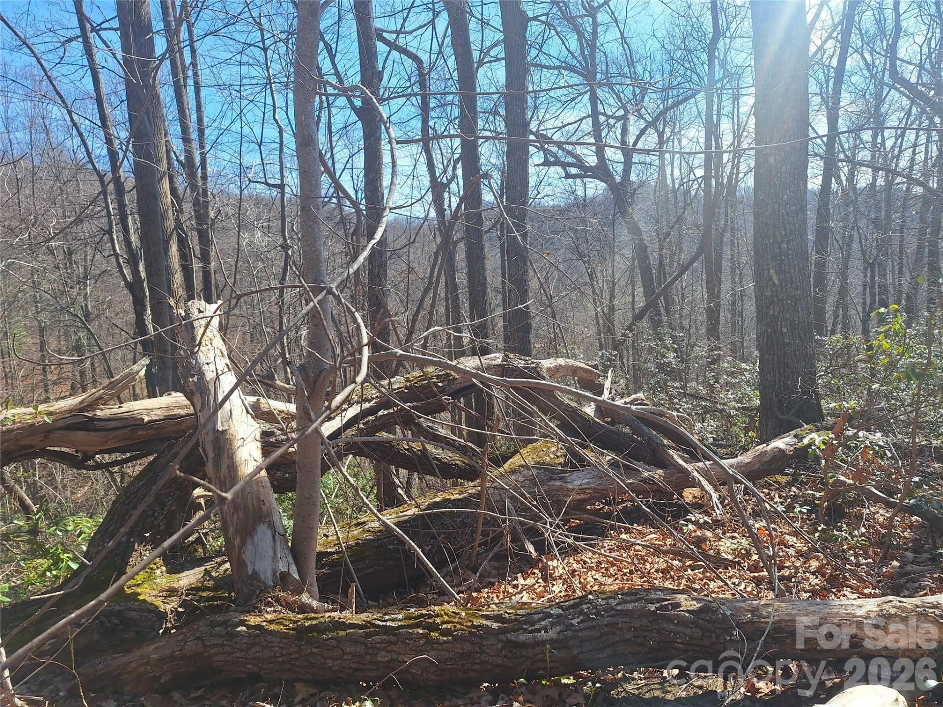 965 Wolf Pen Road - Photo 24