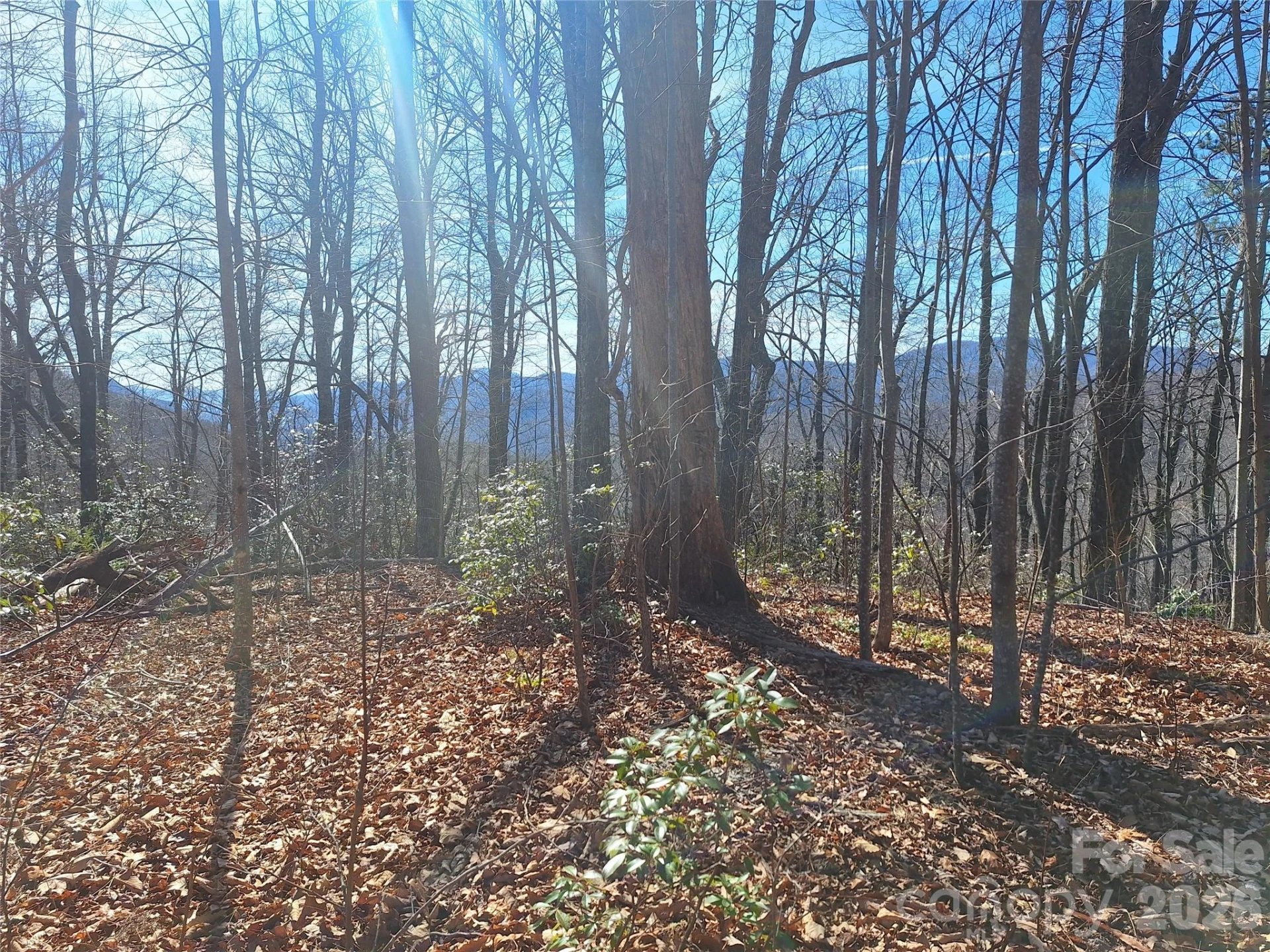965 Wolf Pen Road - Photo 25