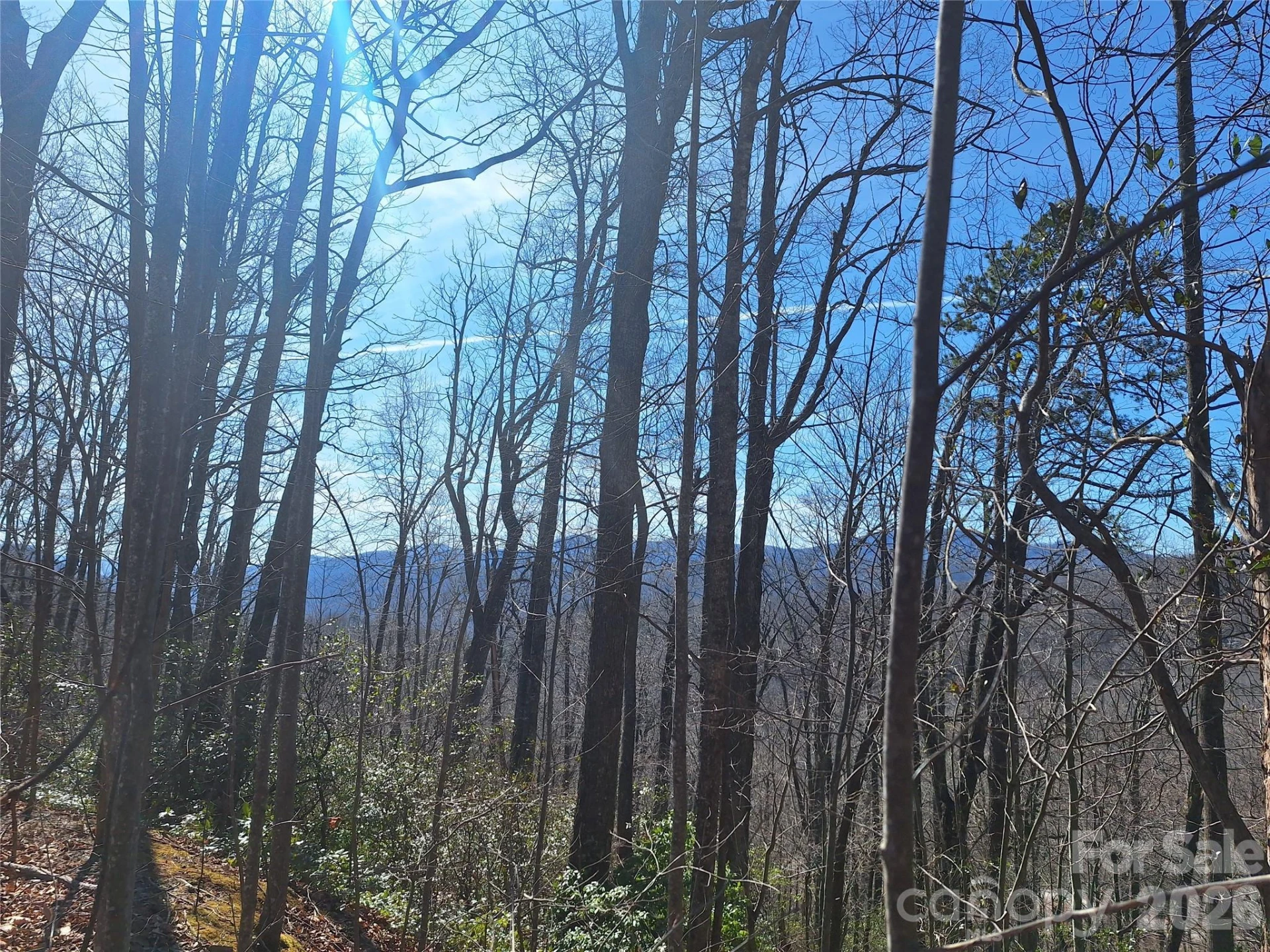 965 Wolf Pen Road - Photo 26