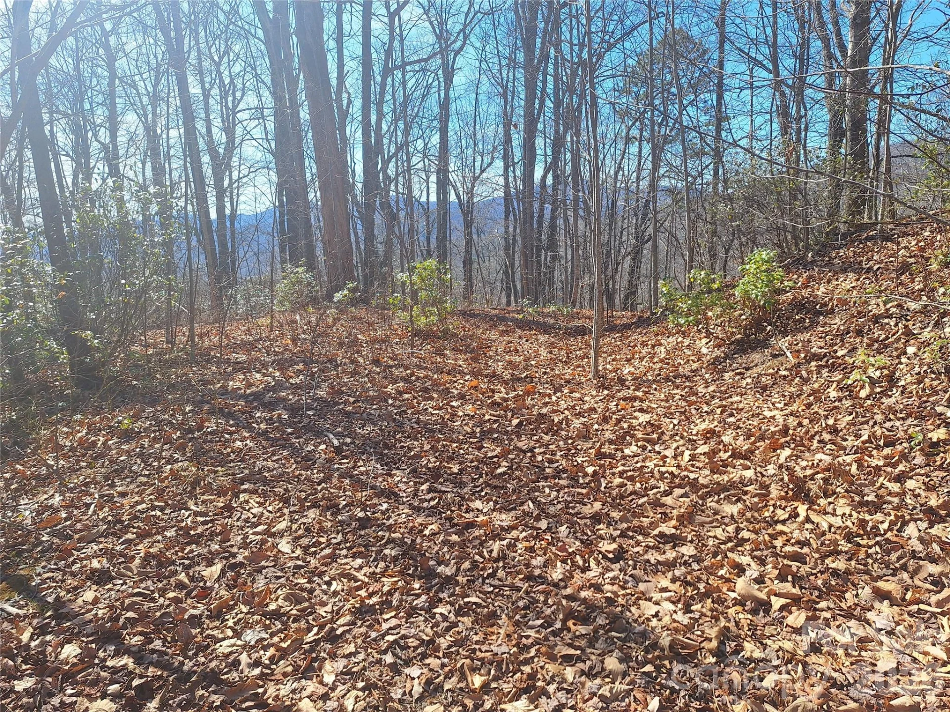 965 Wolf Pen Road - Photo 2