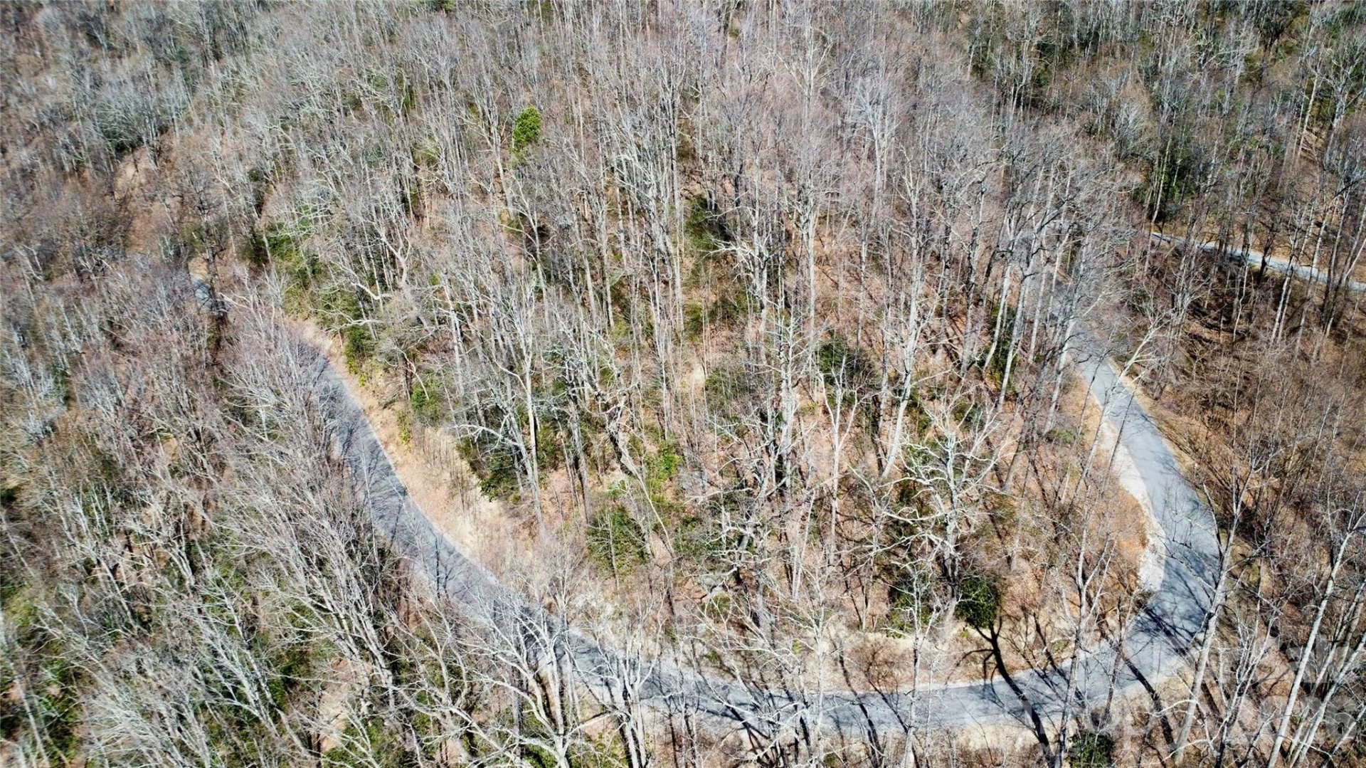 965 Wolf Pen Road - Photo 7