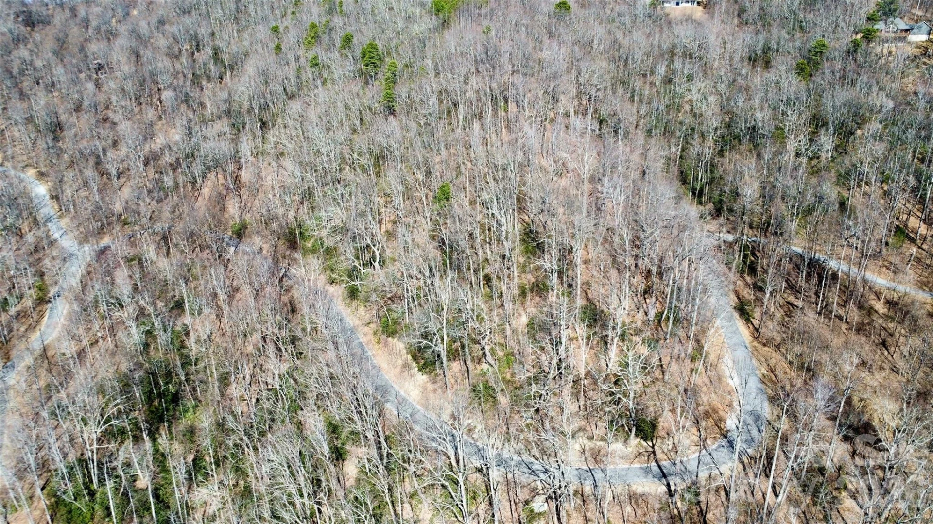 965 Wolf Pen Road - Photo 8