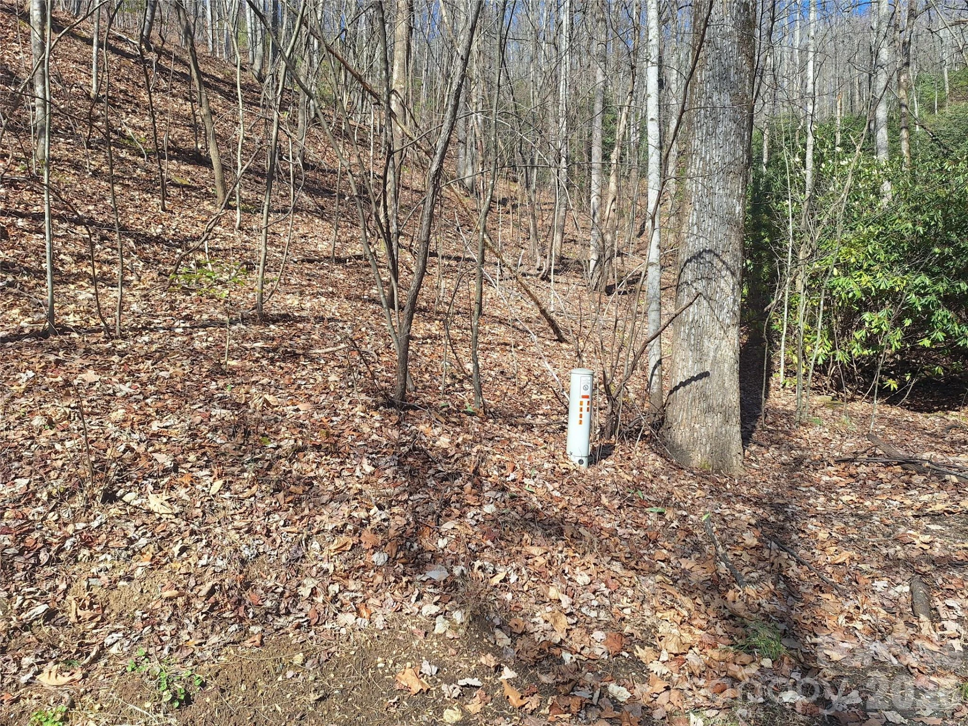 965 Wolf Pen Road - Photo 10