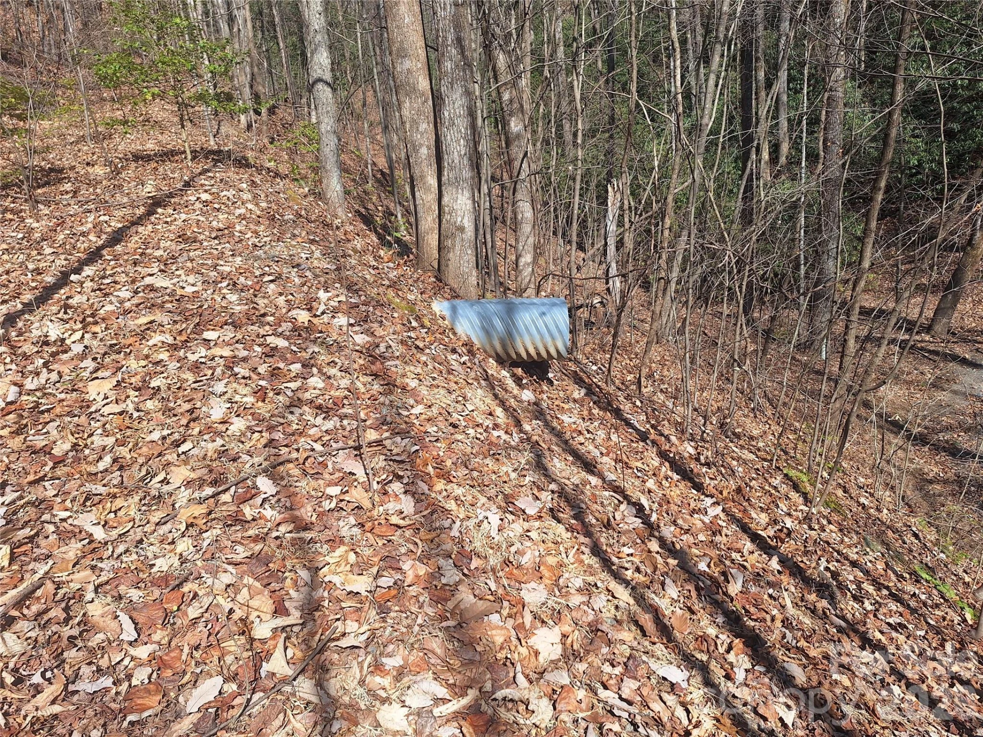 965 Wolf Pen Road - Photo 11
