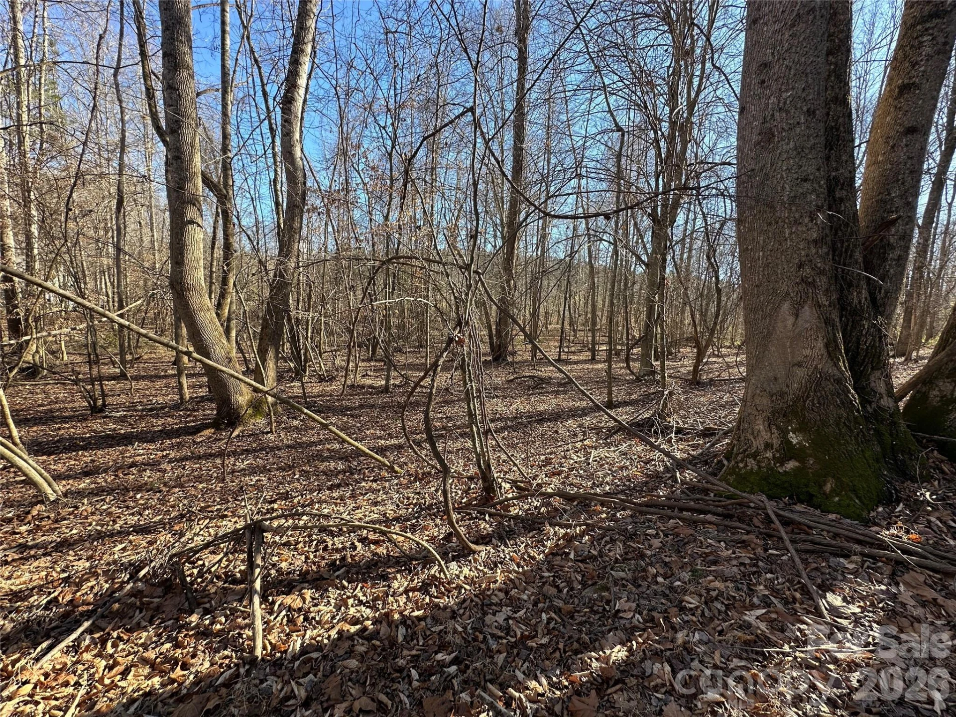 99999 River Crest Parkway - Photo 13