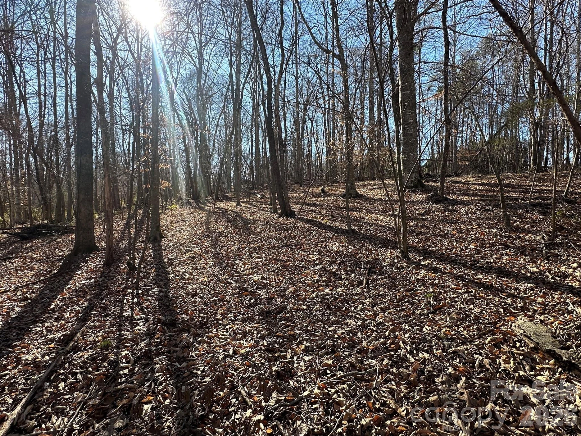 99999 River Crest Parkway - Photo 8