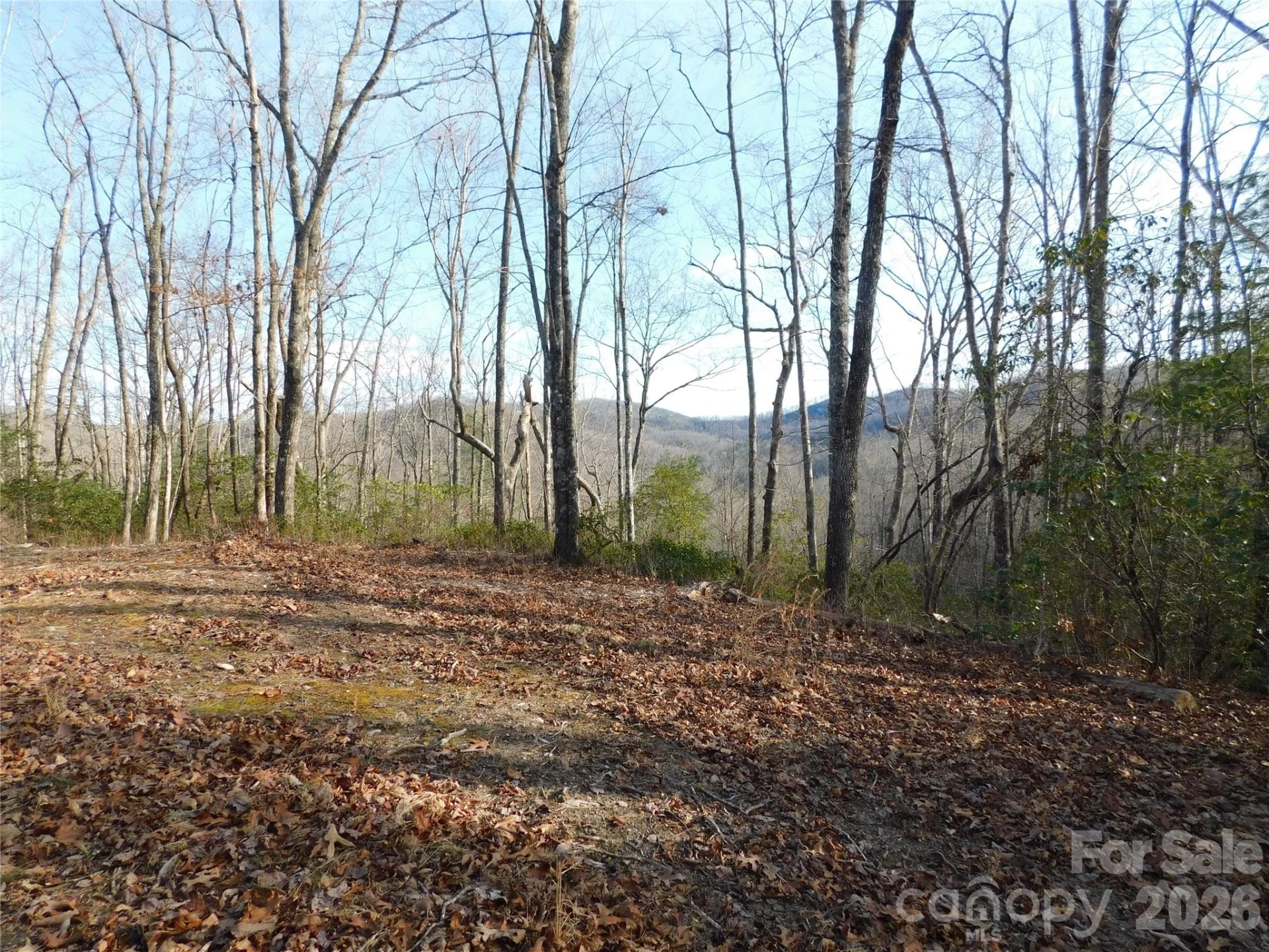 154 Laurel Thicket Drive #98 - Photo 11