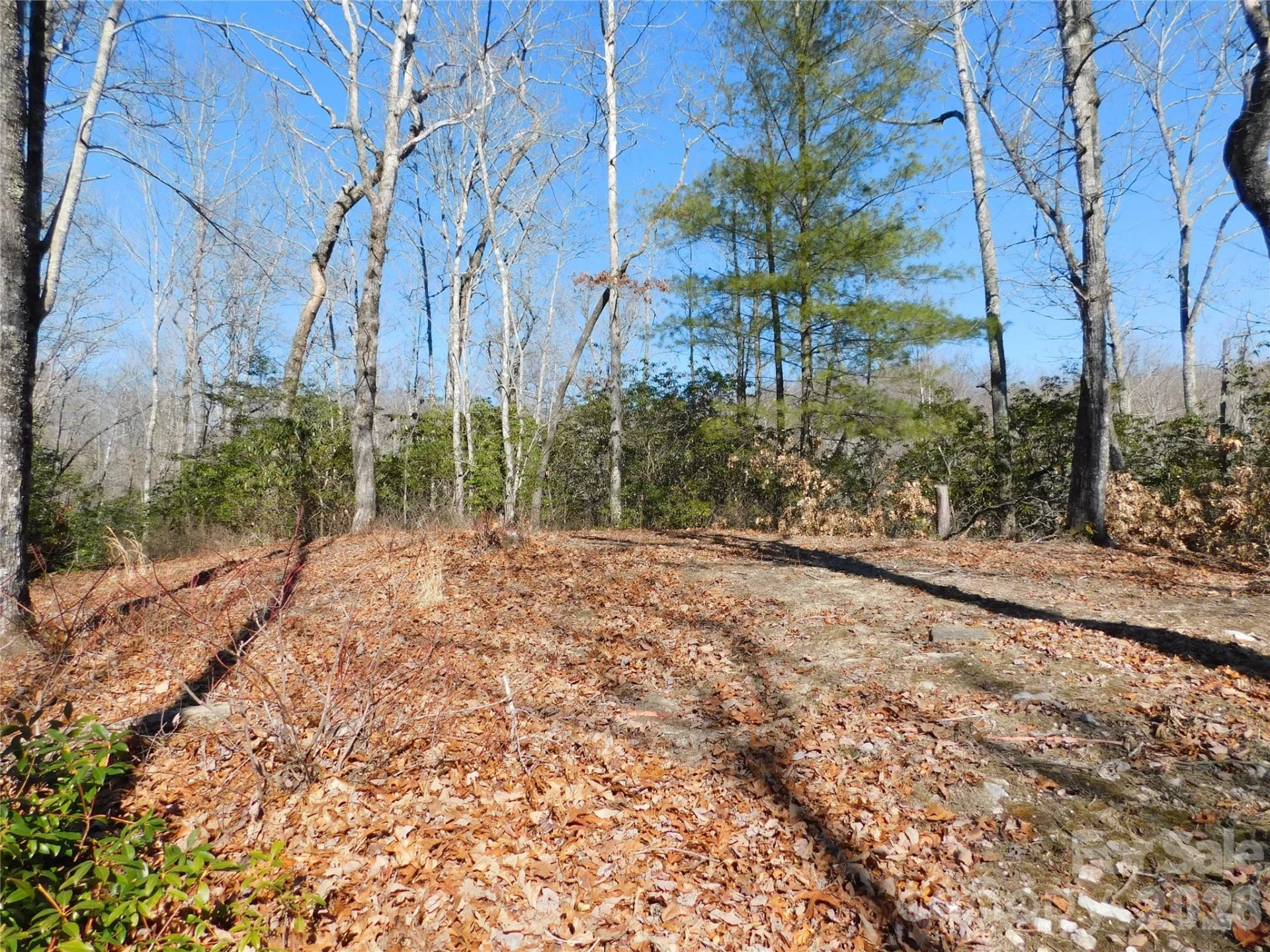 154 Laurel Thicket Drive #98 - Photo 12