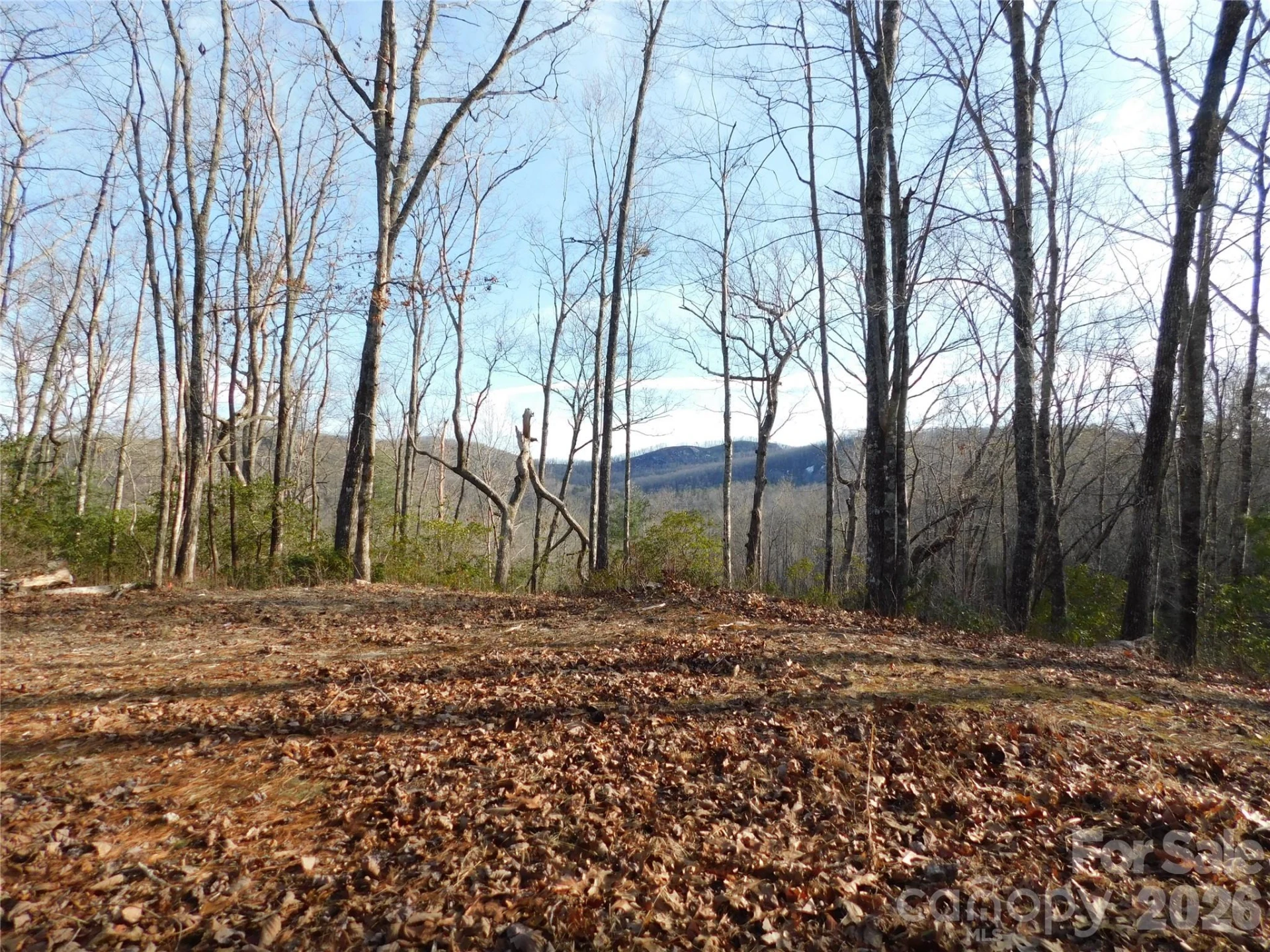 154 Laurel Thicket Drive #98 - Photo 3