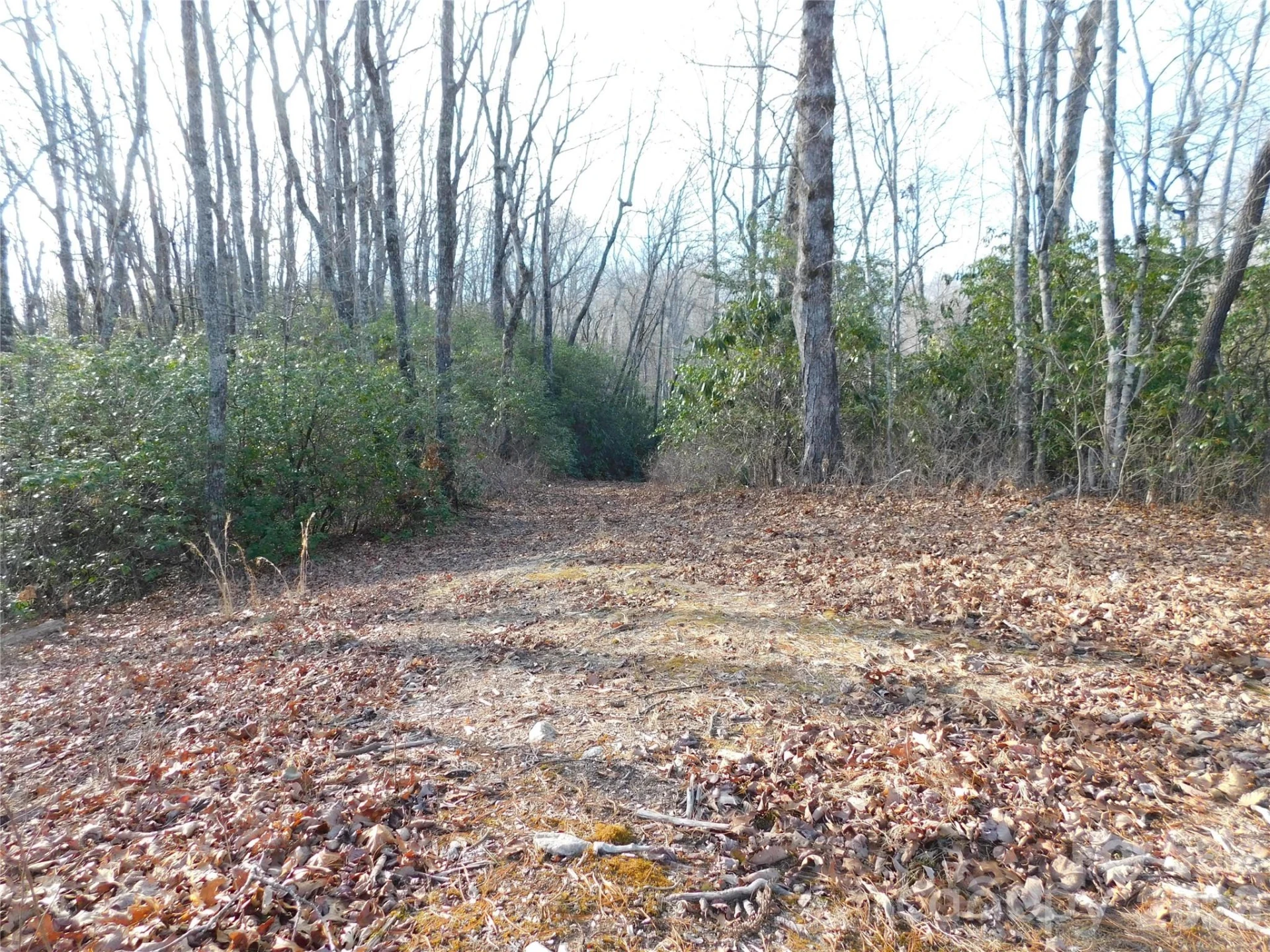 154 Laurel Thicket Drive #98 - Photo 9