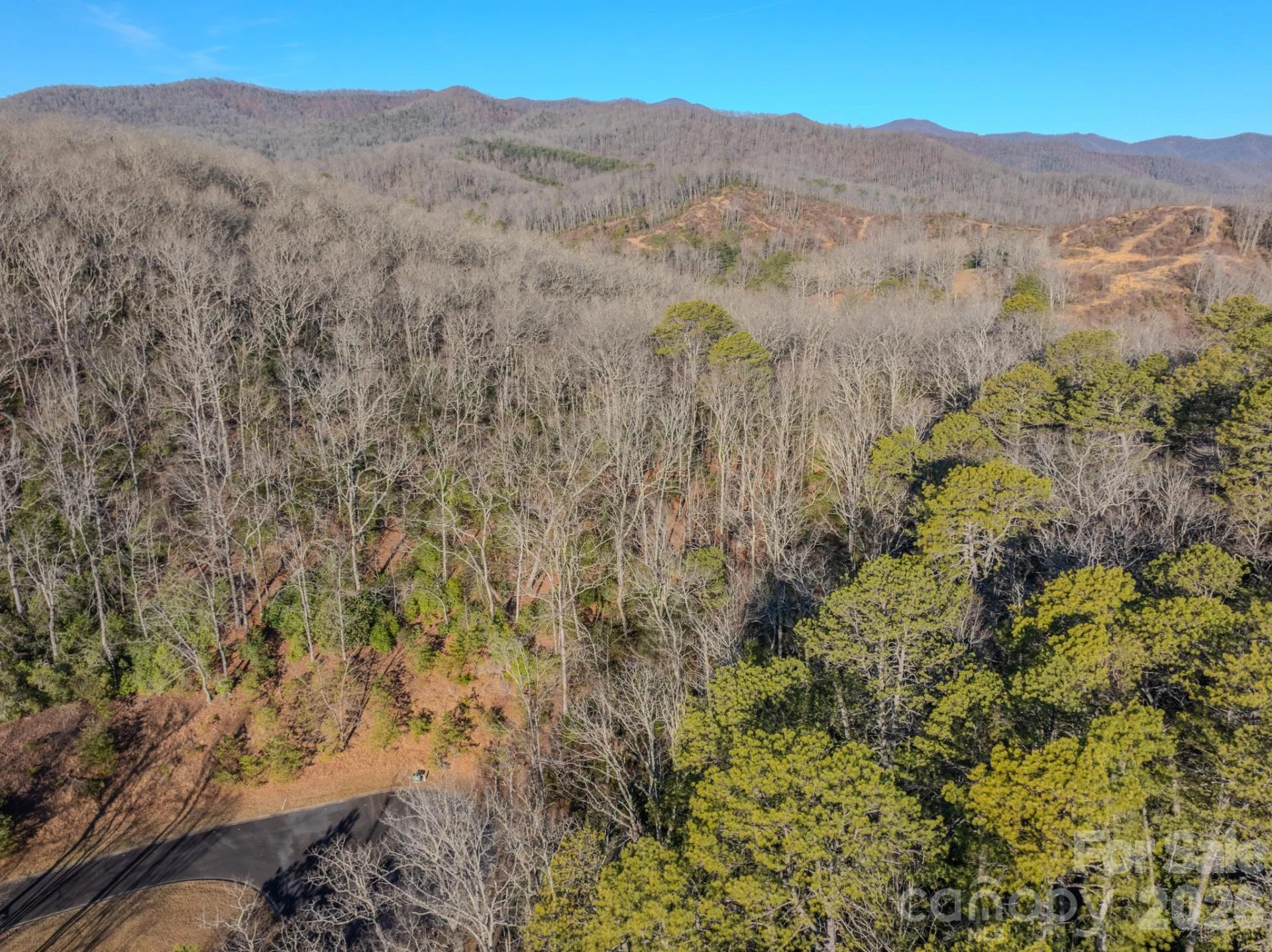 1647 Mills River Way - Photo 20
