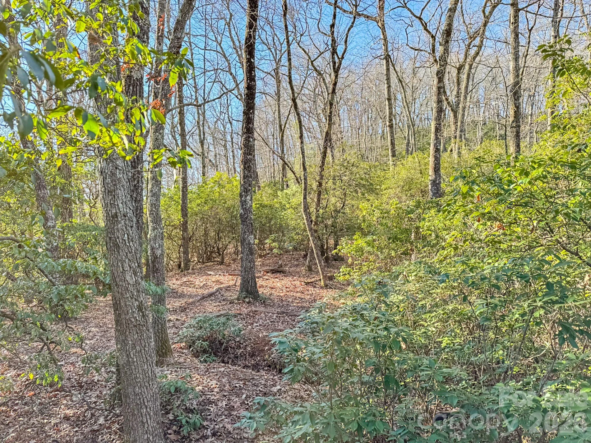1647 Mills River Way - Photo 25