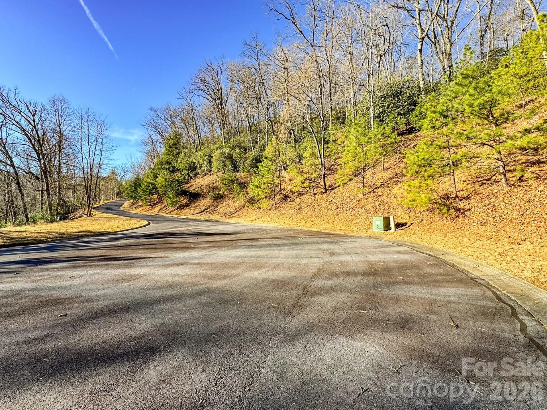 1647 Mills River Way - Photo 28