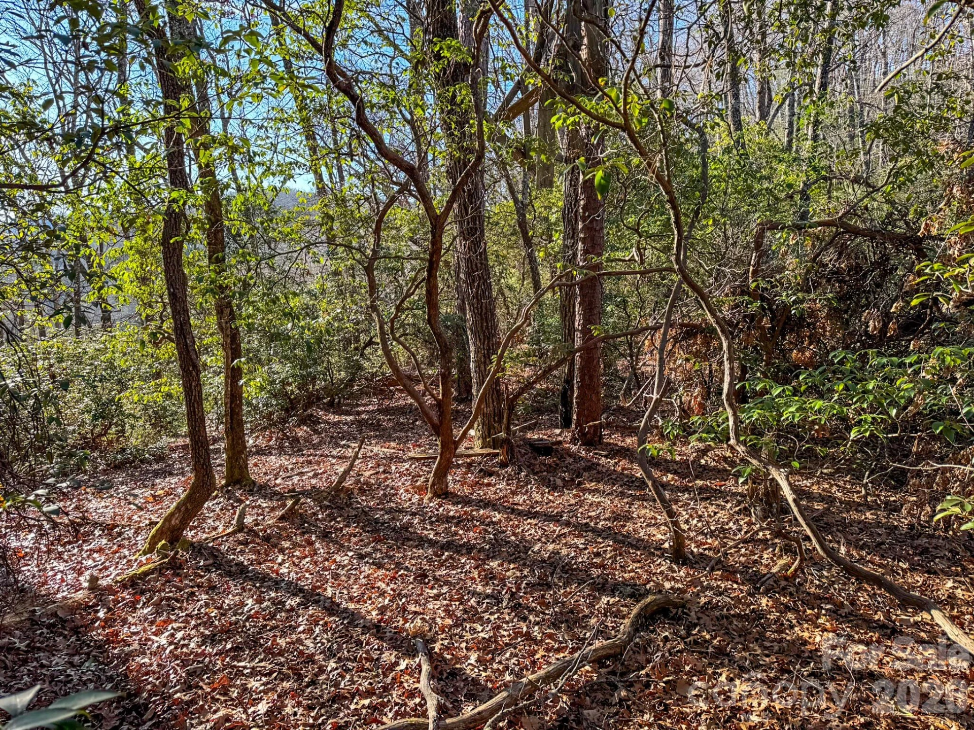 1647 Mills River Way - Photo 29