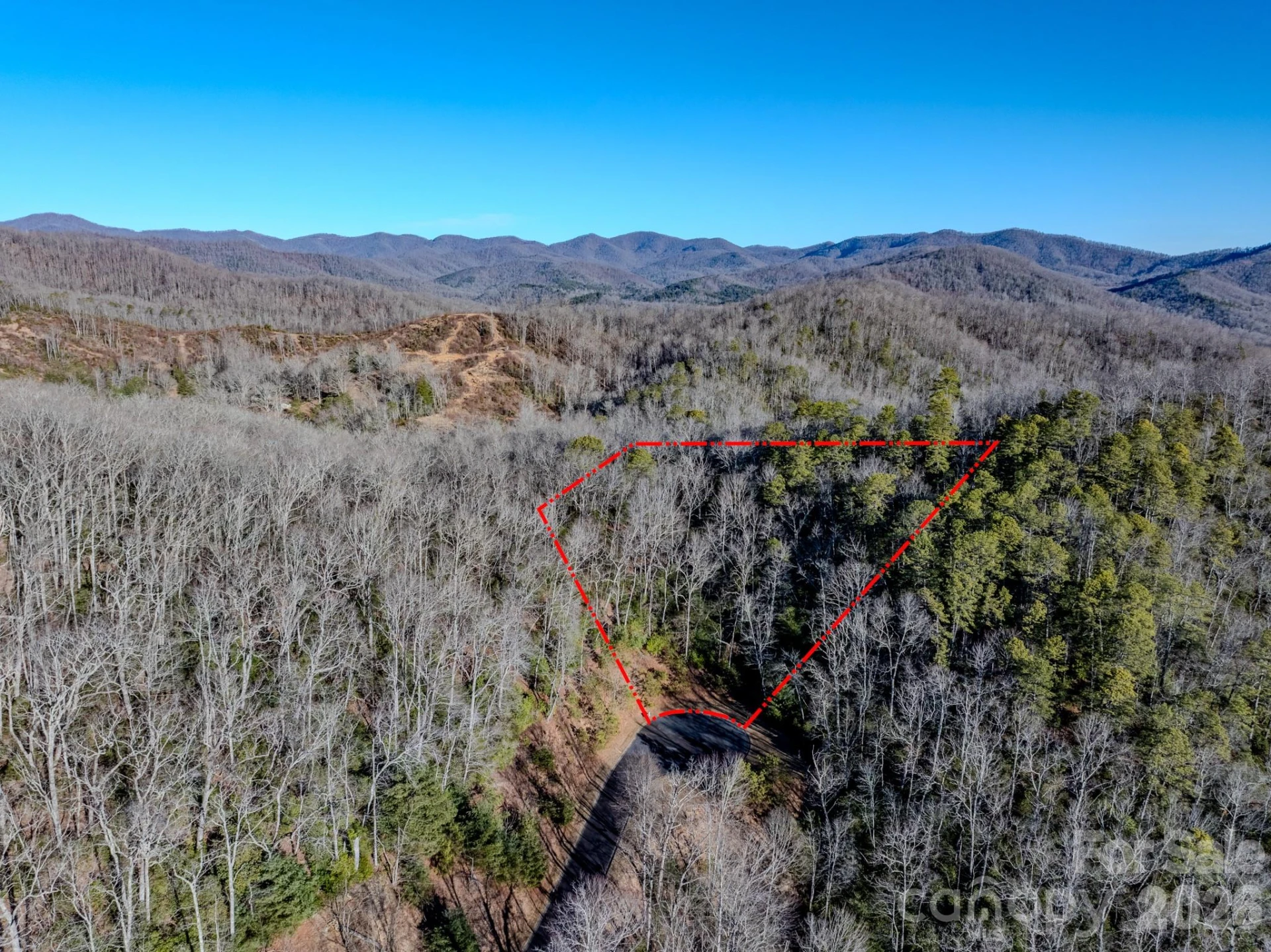 1647 Mills River Way - Photo 4