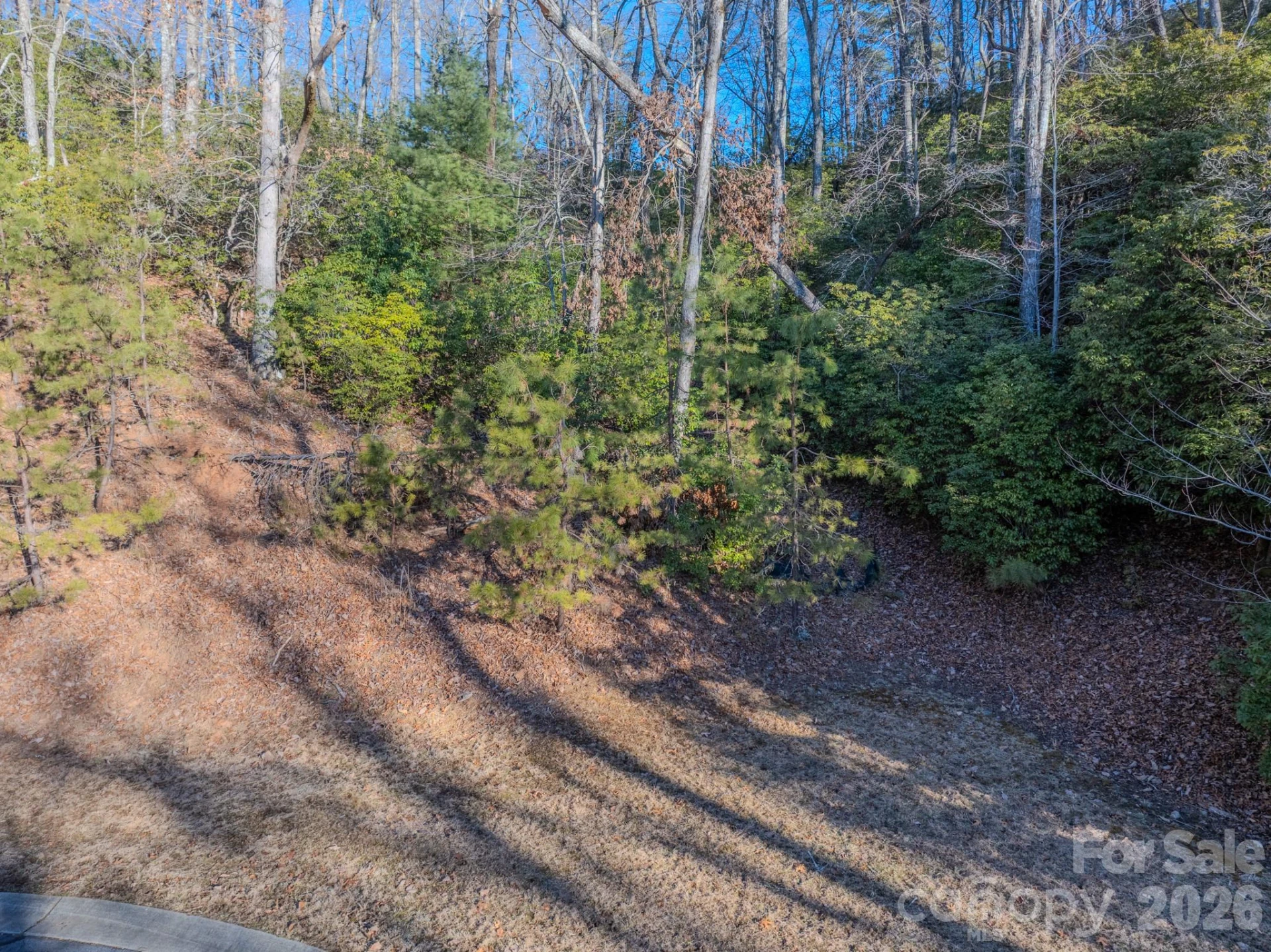 1647 Mills River Way - Photo 34