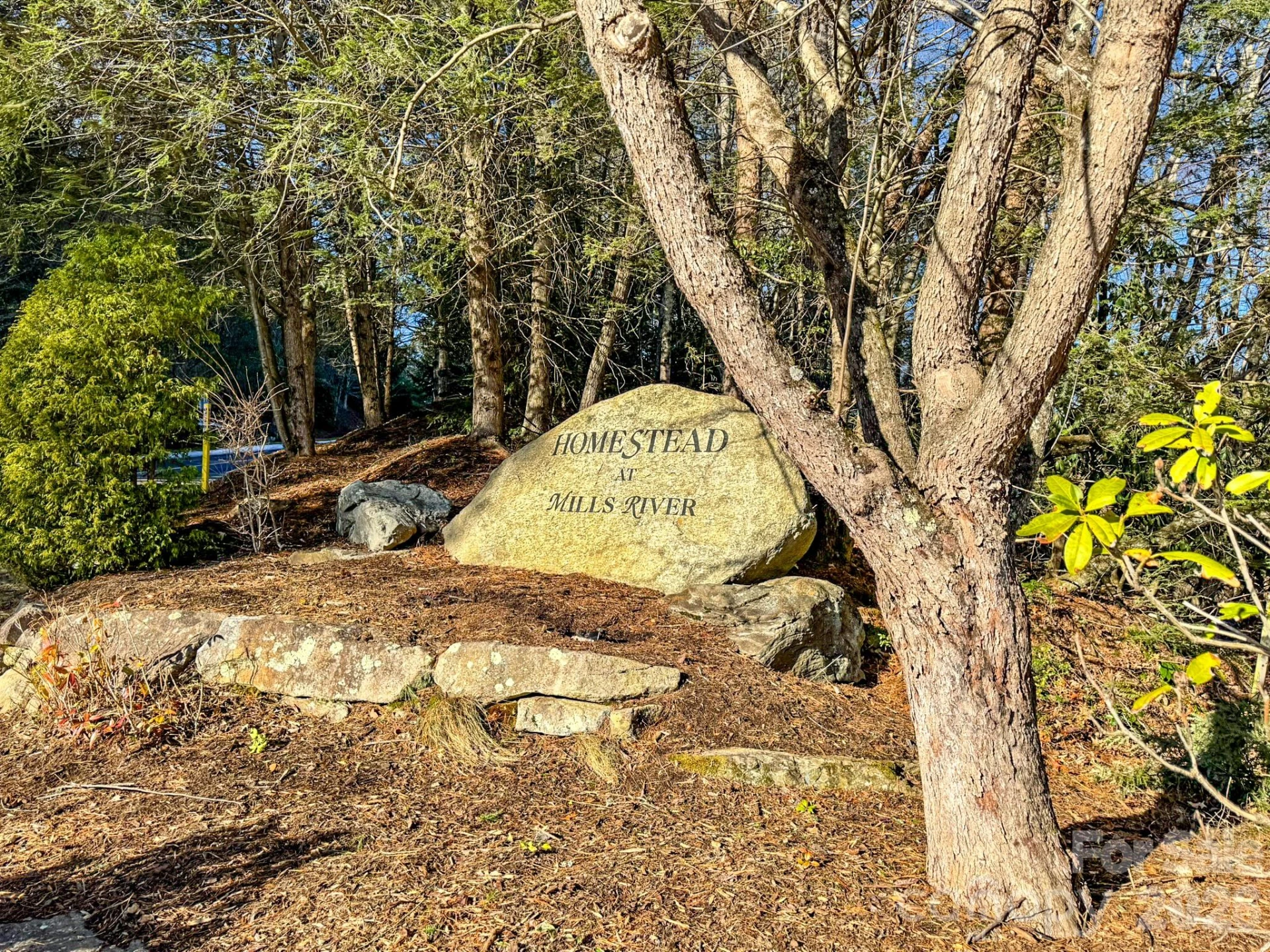 1647 Mills River Way - Photo 39