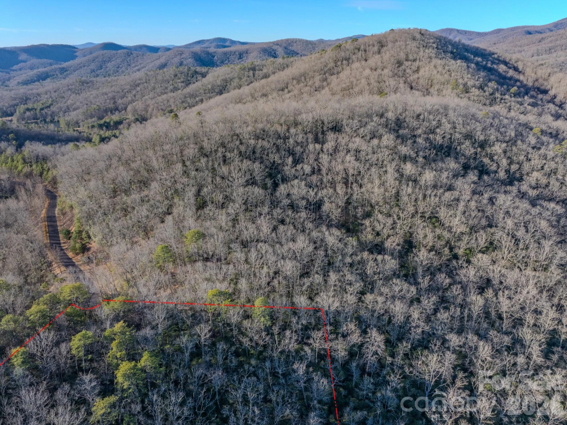 1647 Mills River Way - Photo 10