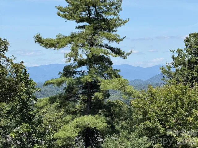44 Leisure Mountain Road