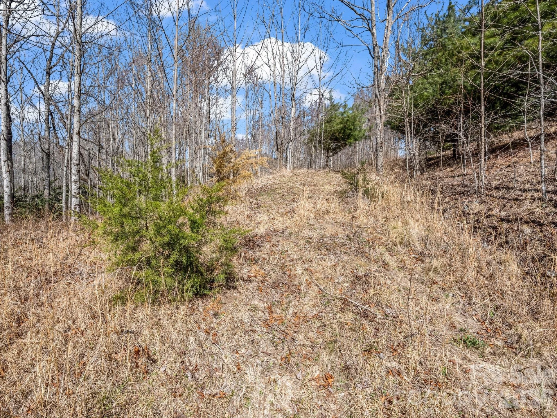142 Mountain Elder Lane #79 - Photo 7