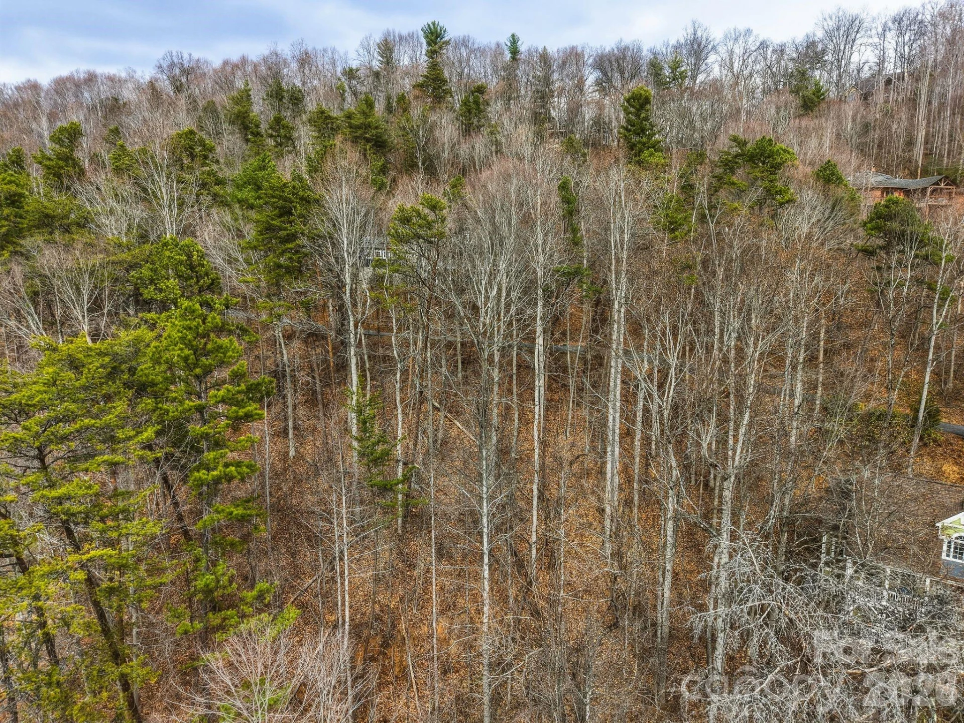 99999 Hawk View Drive #7 - Photo 11