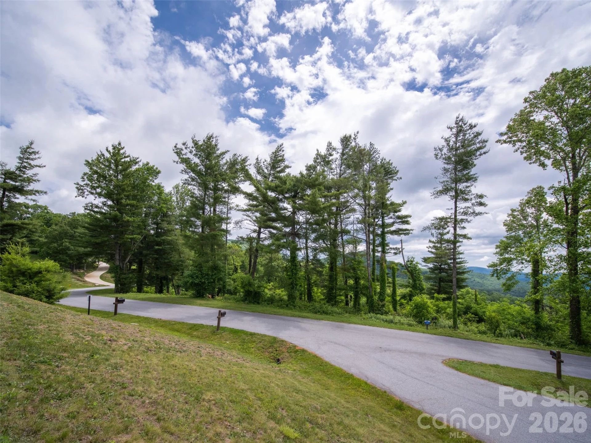 #178 Dancing Bear Drive - Photo 11