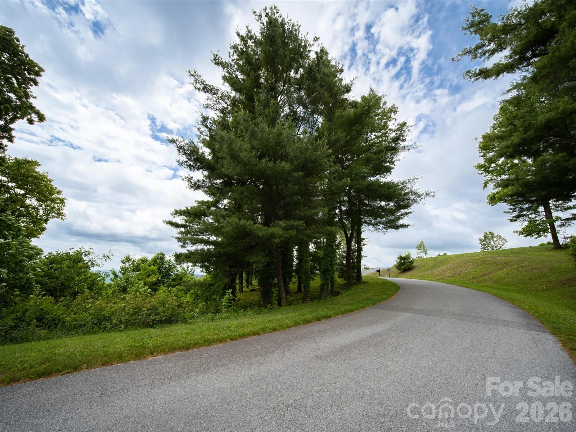 #178 Dancing Bear Drive - Photo 9