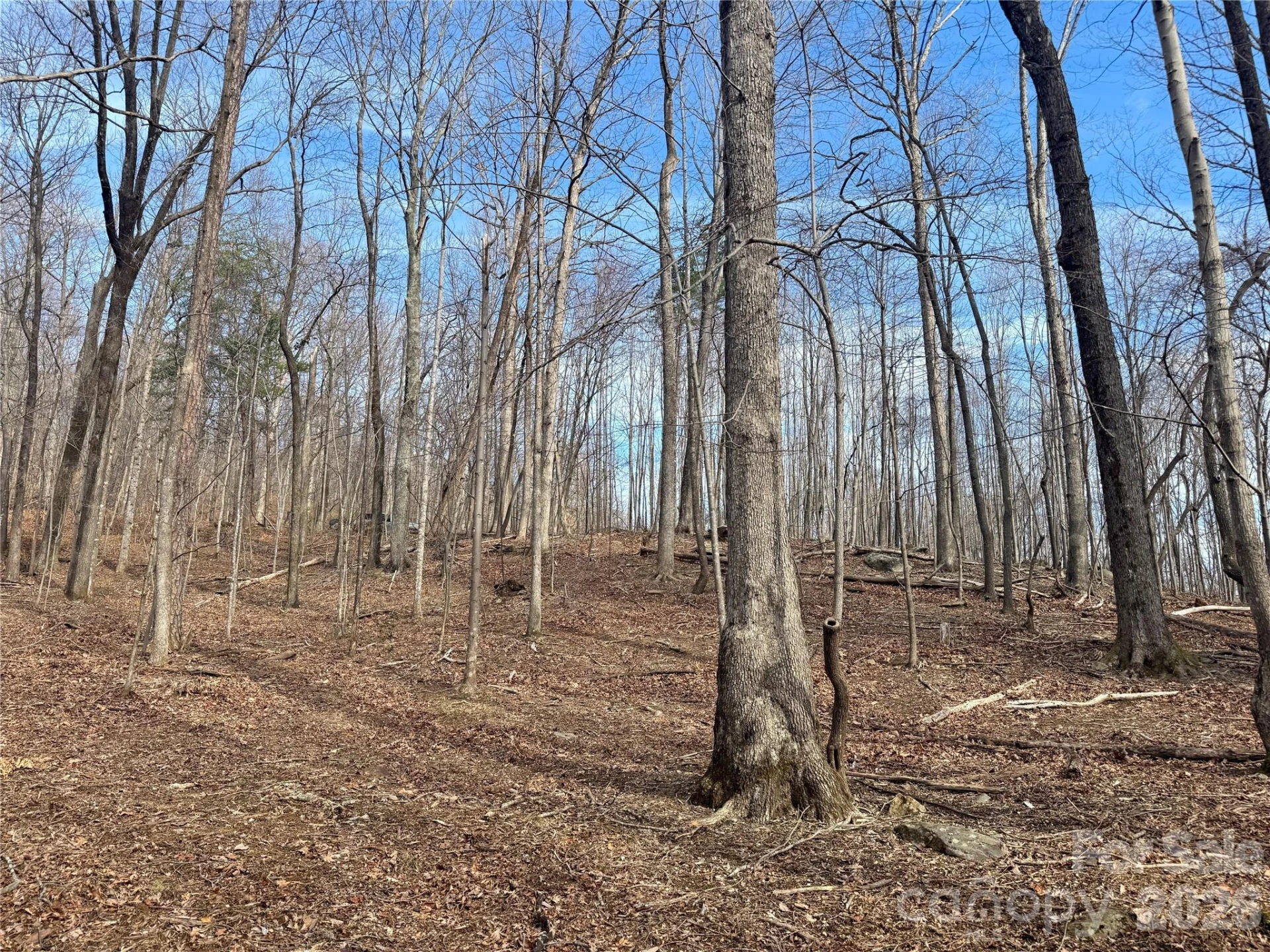 99999 Chesterfield Drive #176 - Photo 2
