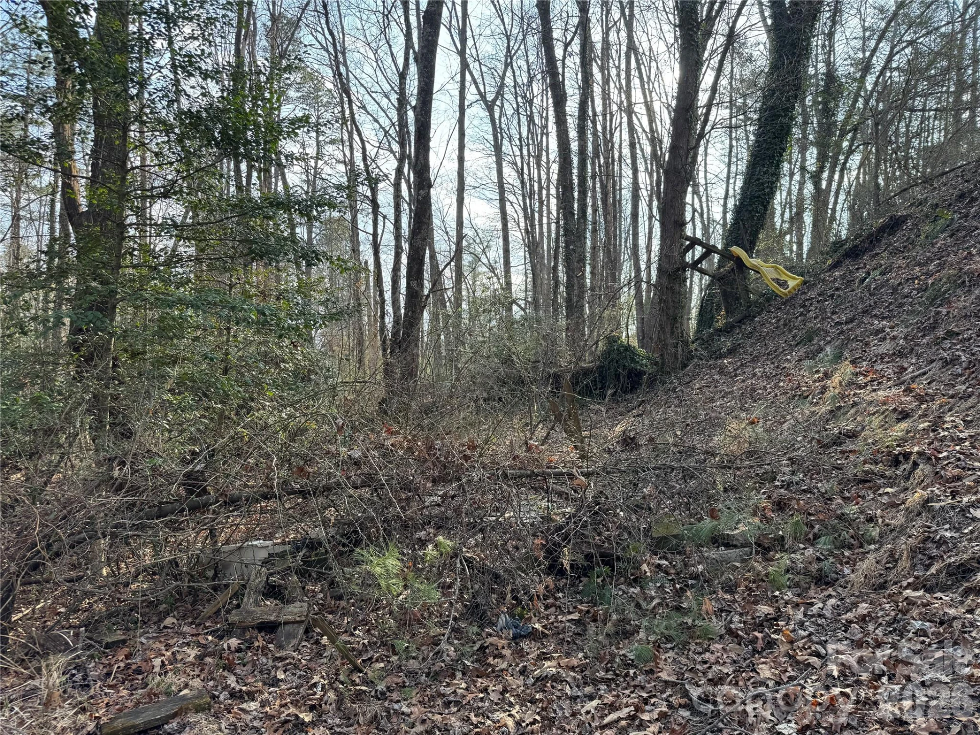 481 Fisher Road - Photo 12