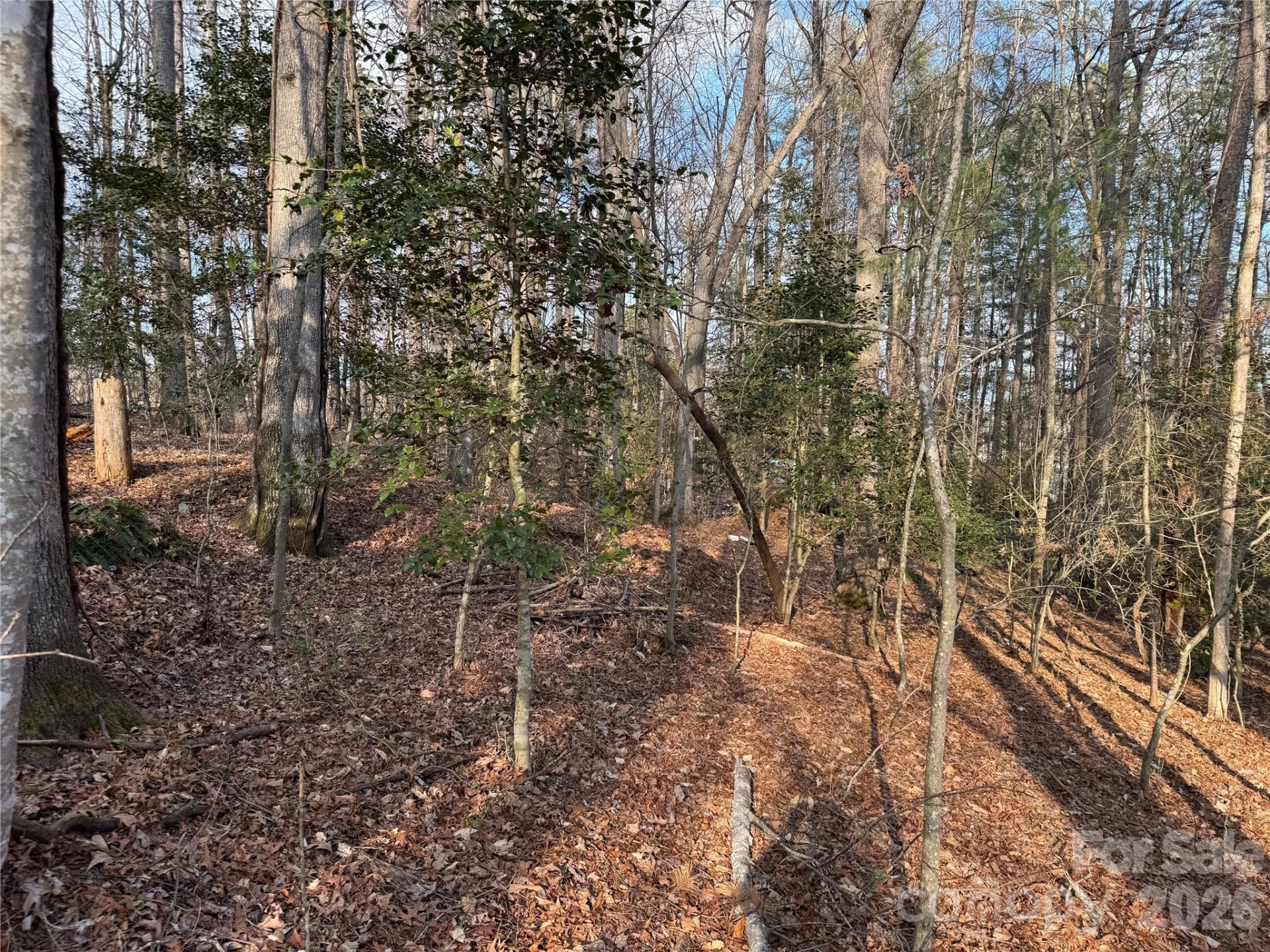481 Fisher Road - Photo 8