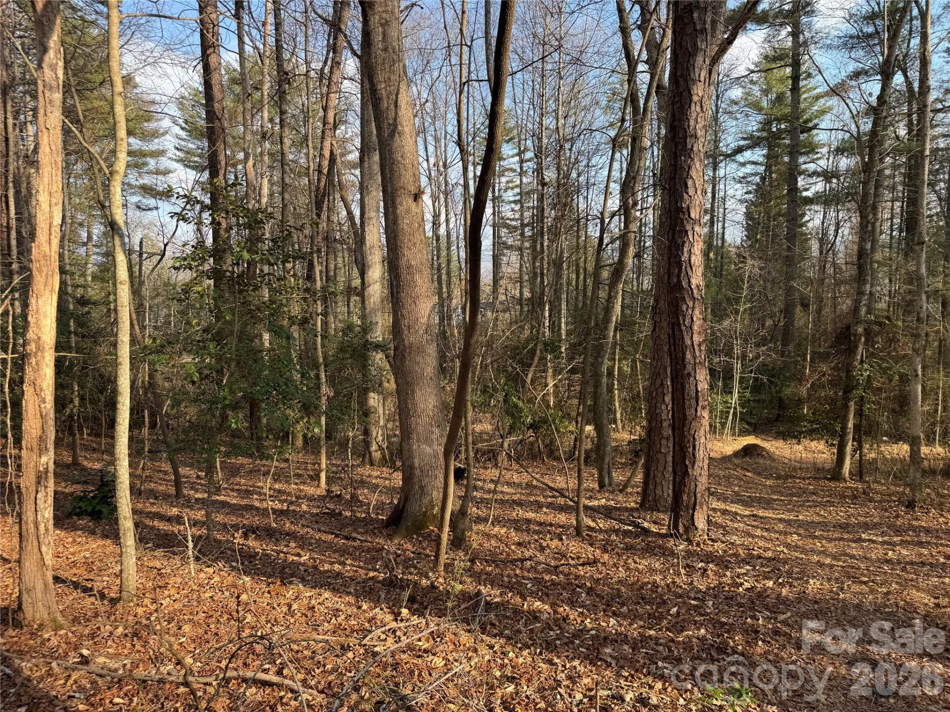 481 Fisher Road - Photo 9