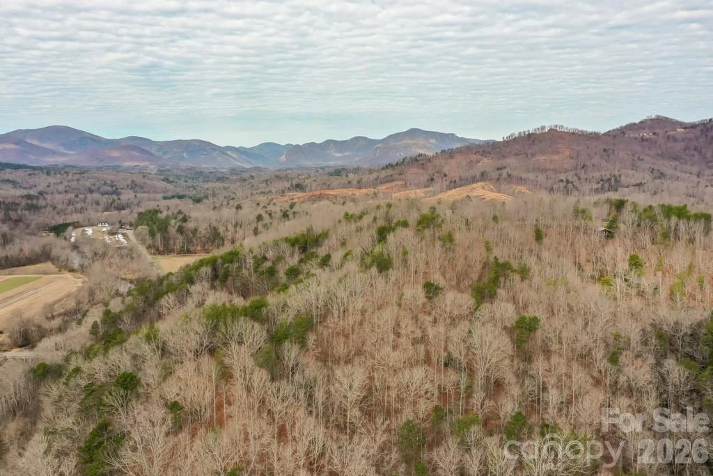 5510 US Hwy 64/74A None - Photo 2