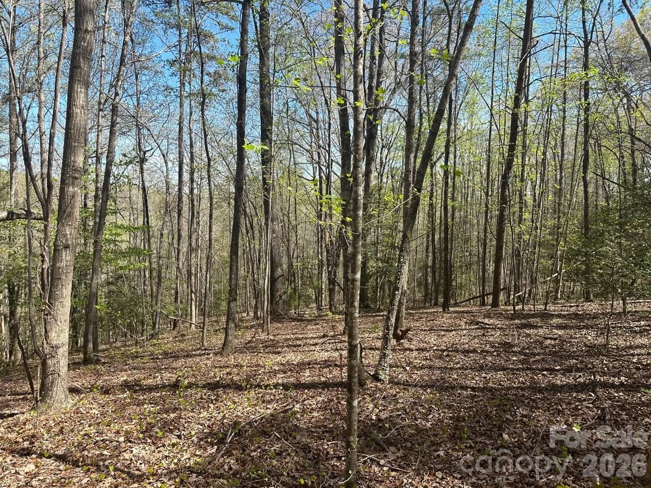 5510 US Hwy 64/74A None - Photo 11