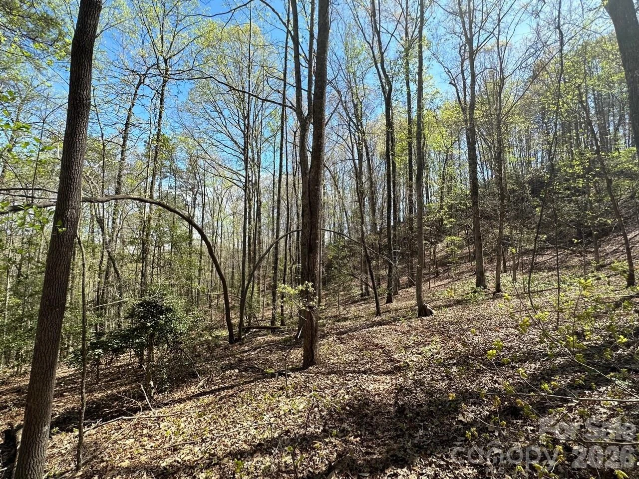 5510 US Hwy 64/74A None - Photo 16