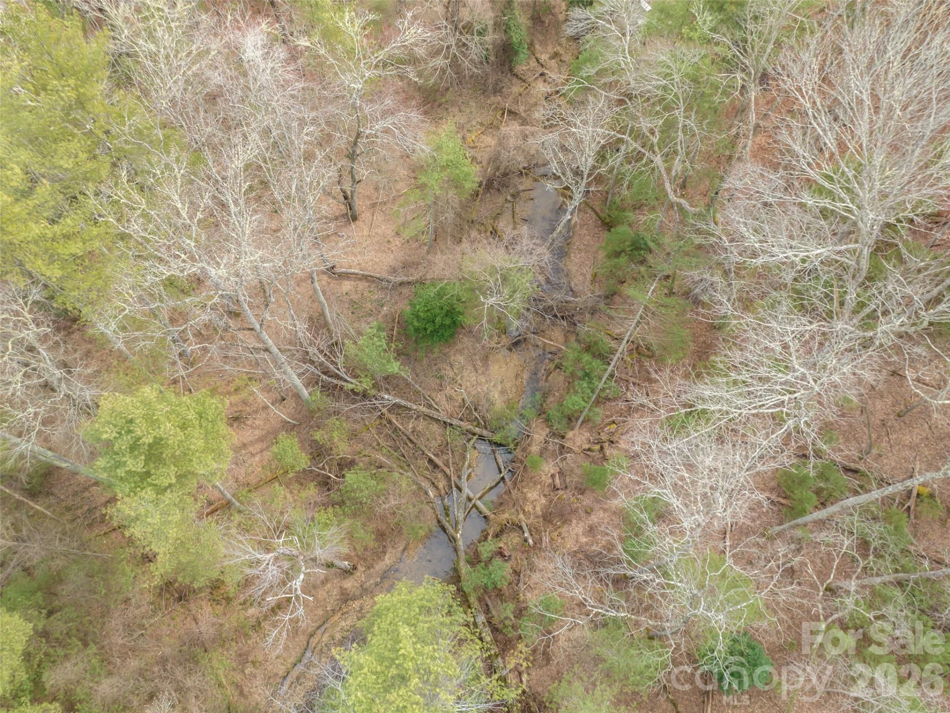 9999 Cedar Hill Drive #12 - Photo 24