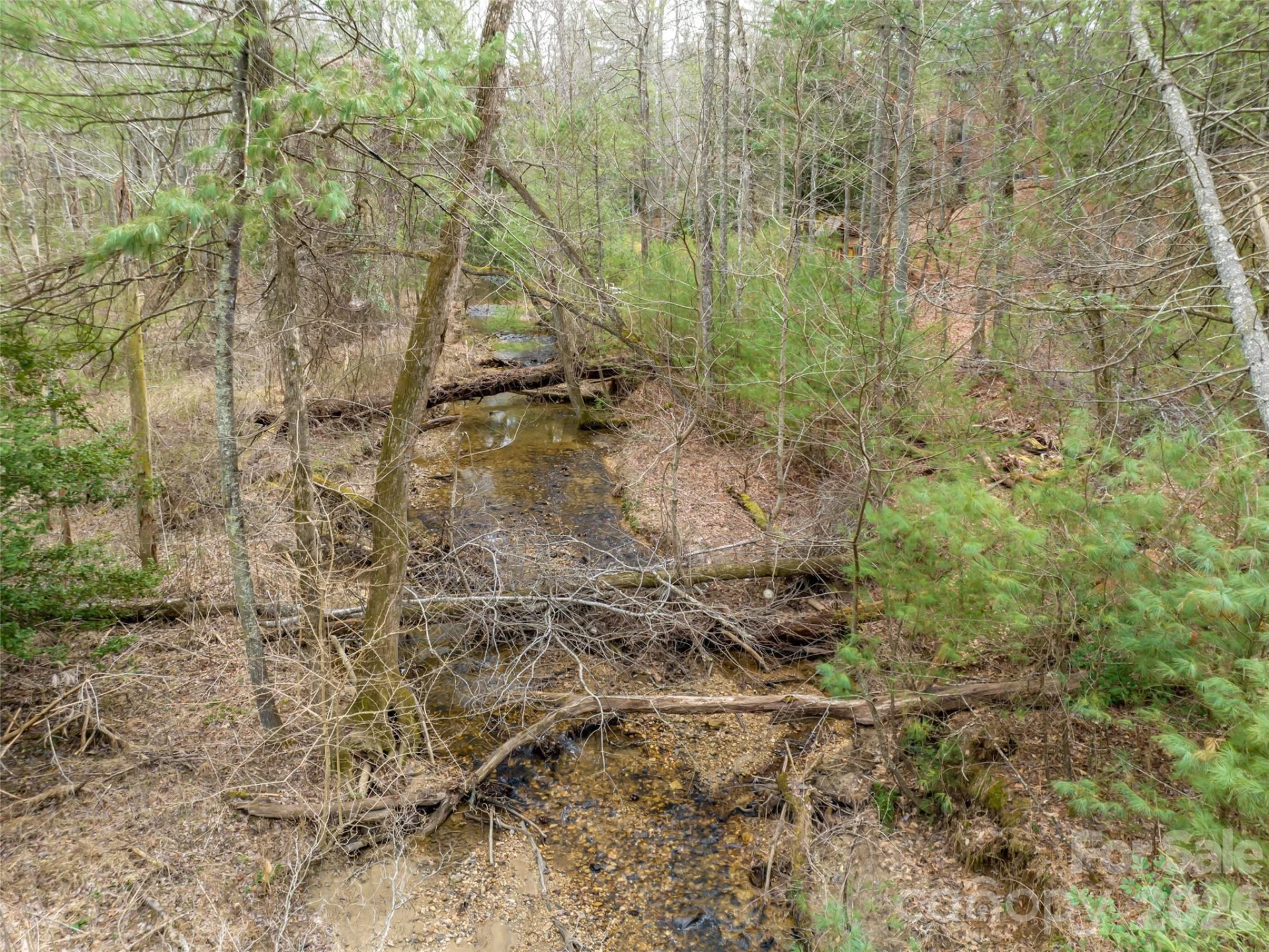 9999 Cedar Hill Drive #12 - Photo 26