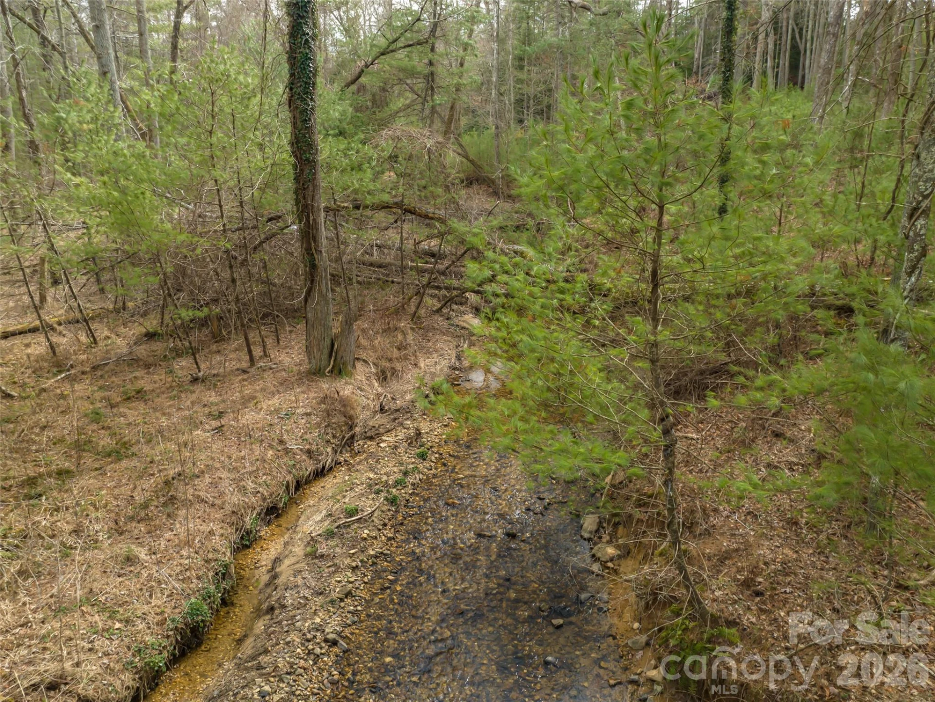 9999 Cedar Hill Drive #12 - Photo 28