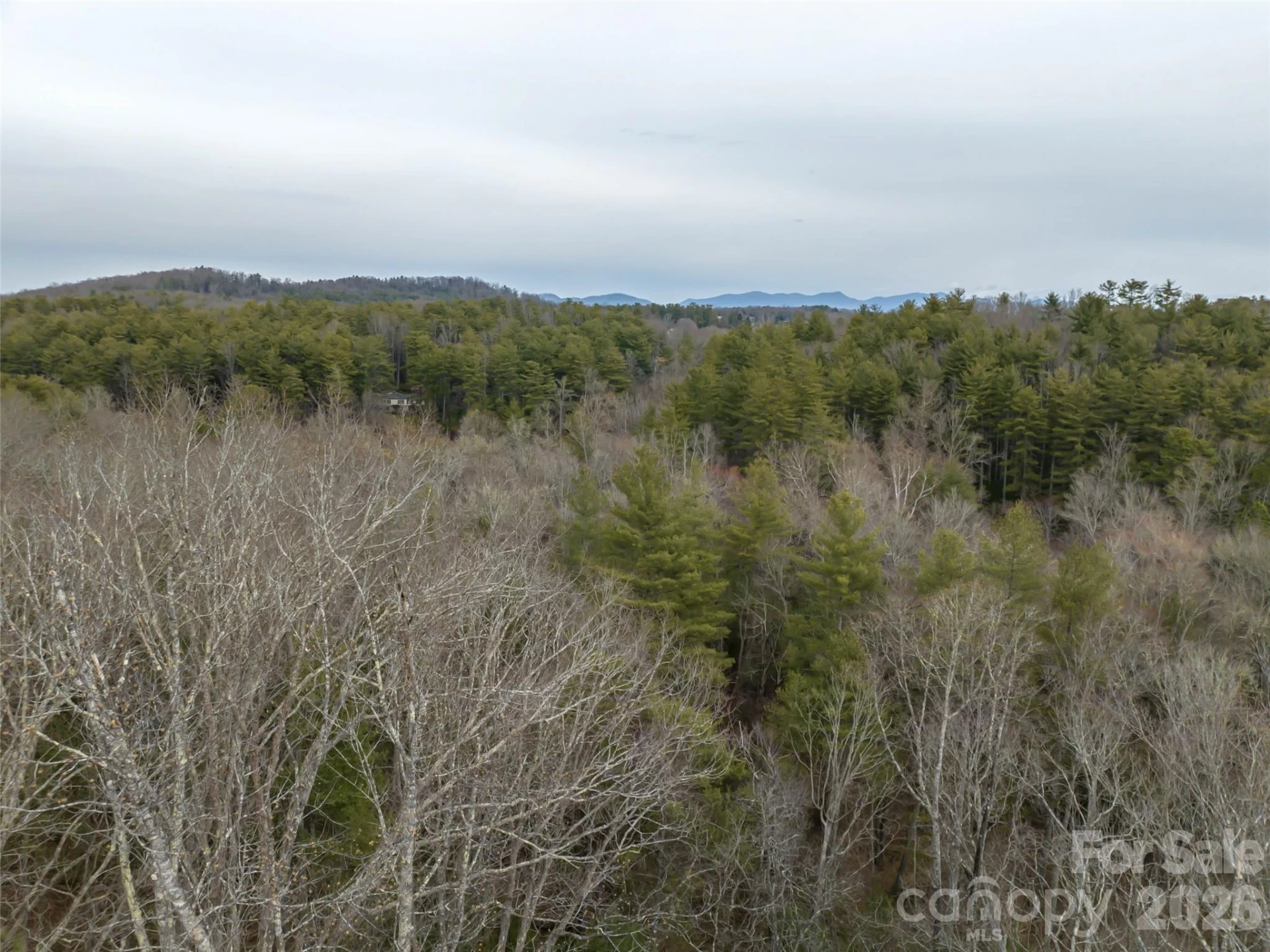 9999 Cedar Hill Drive #12 - Photo 31