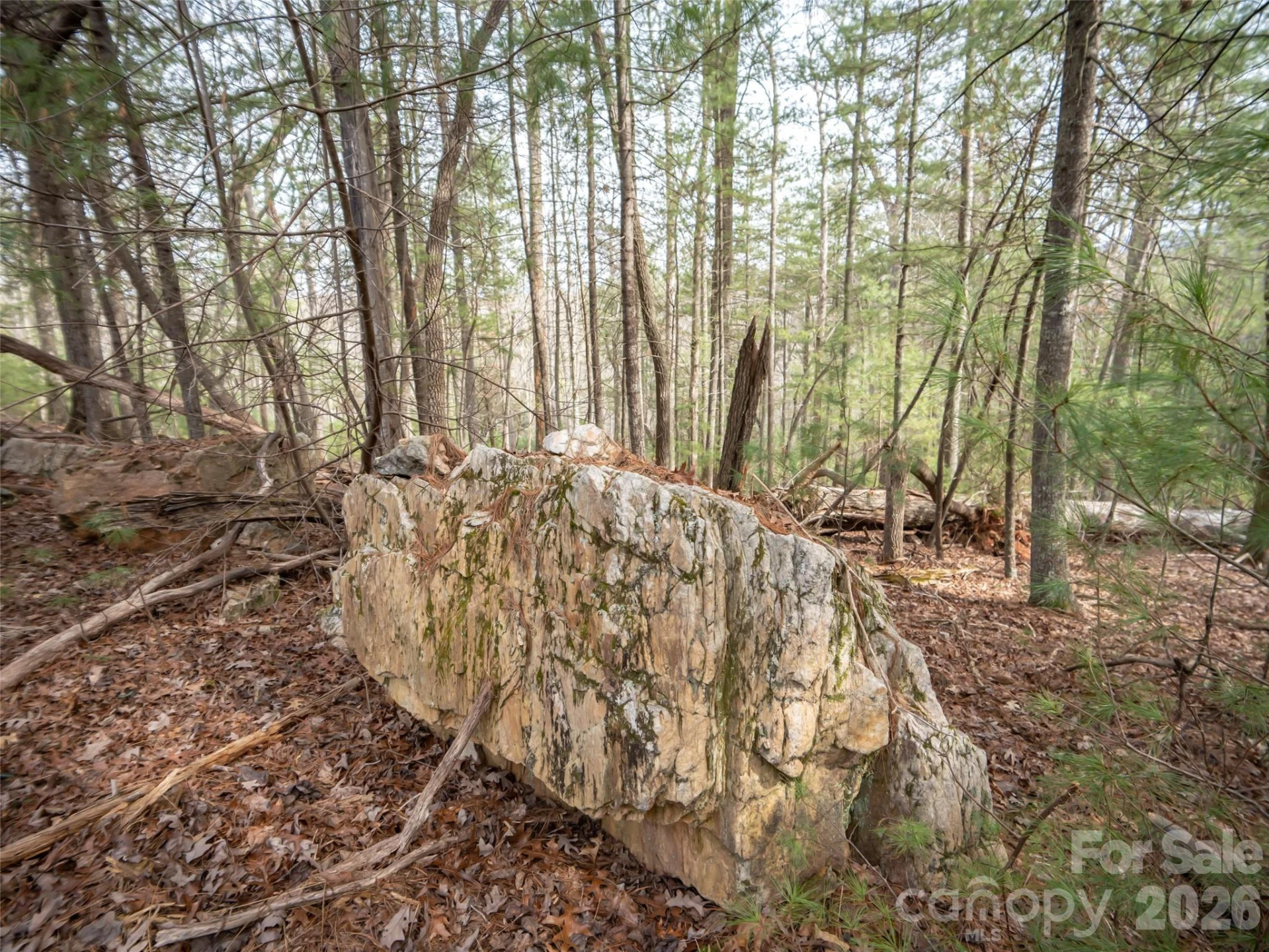 9999 Cedar Hill Drive #12 - Photo 9