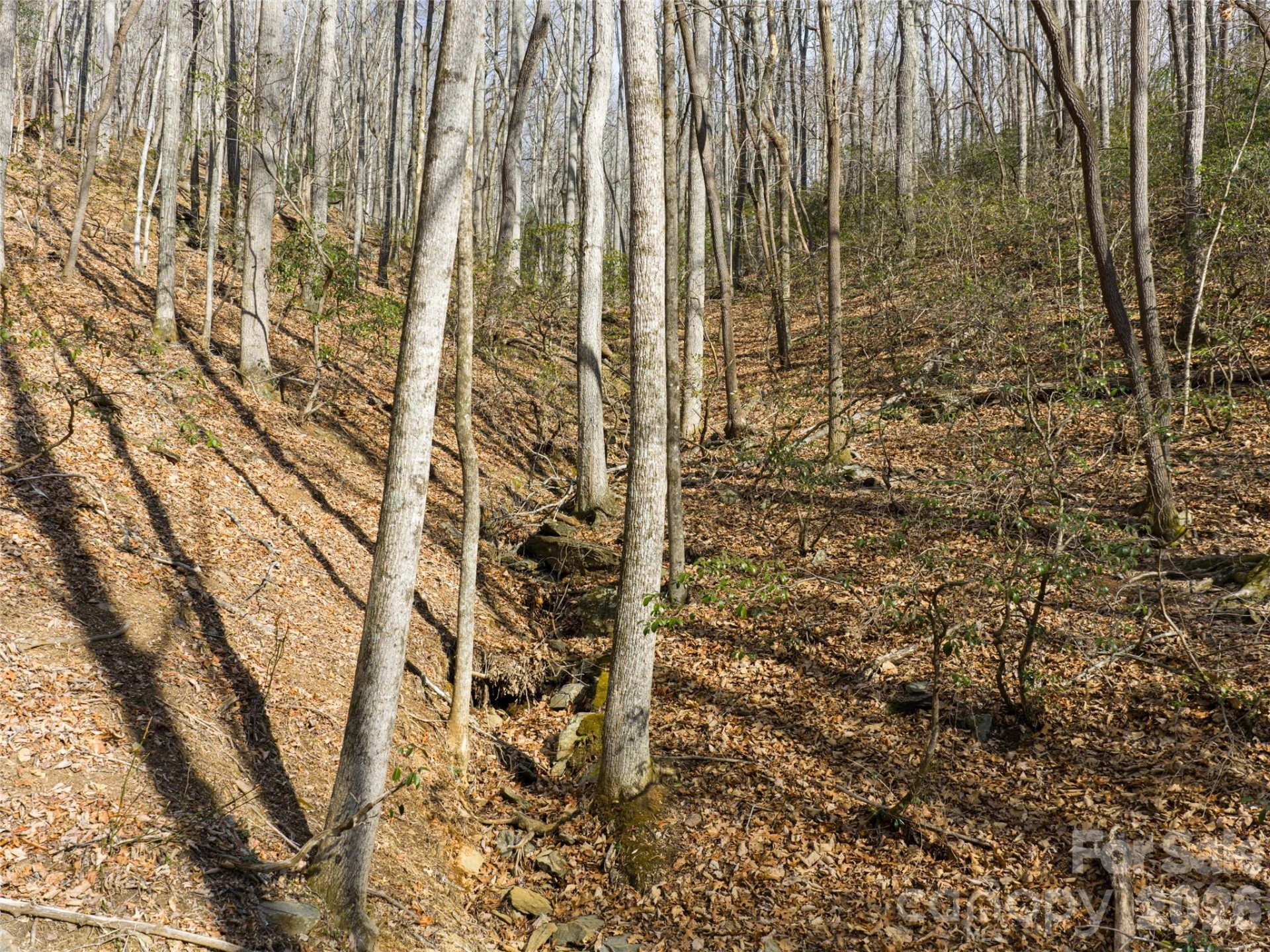 40 Cedar Drive - Photo 11