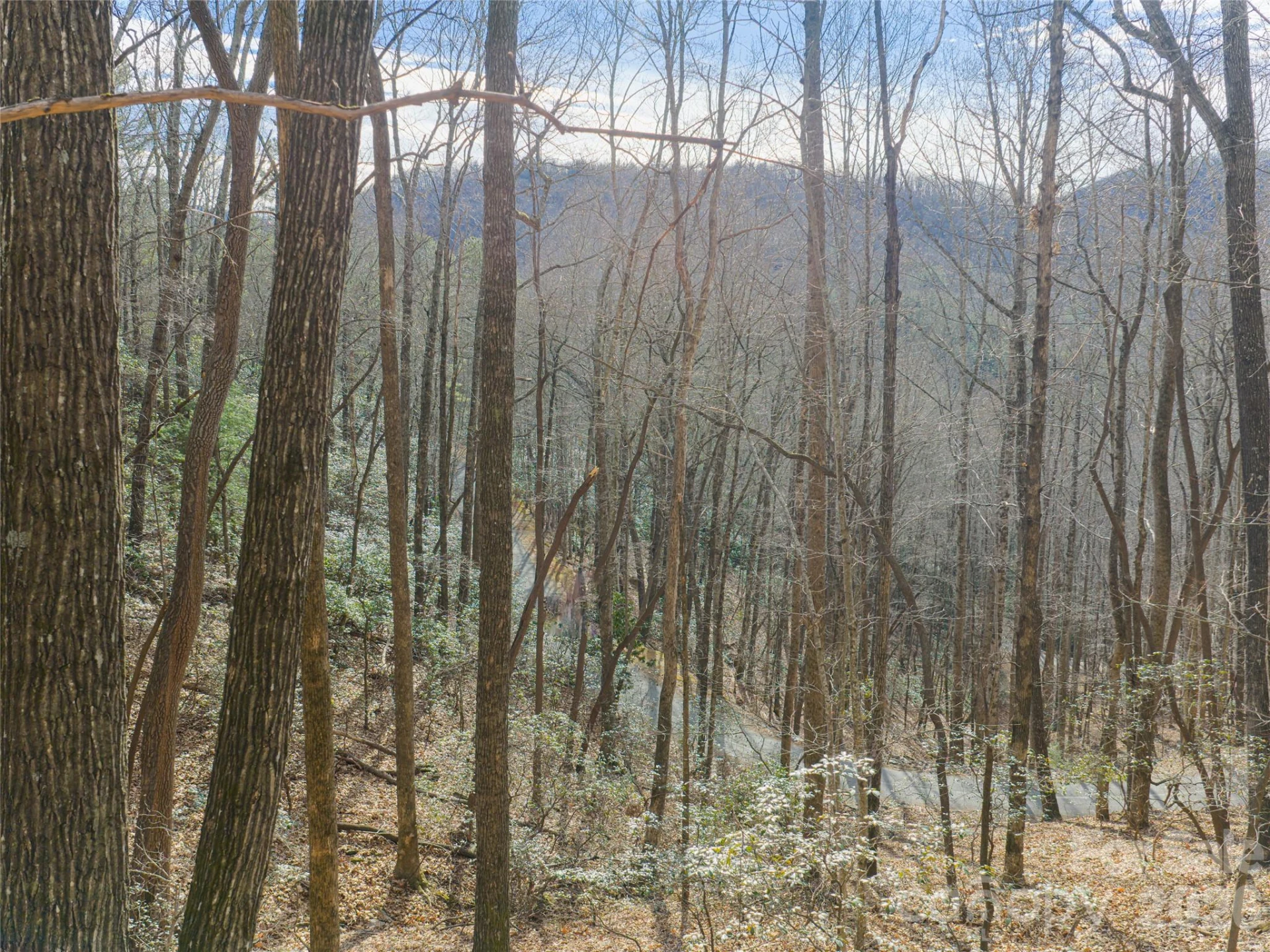 40 Cedar Drive - Photo 18
