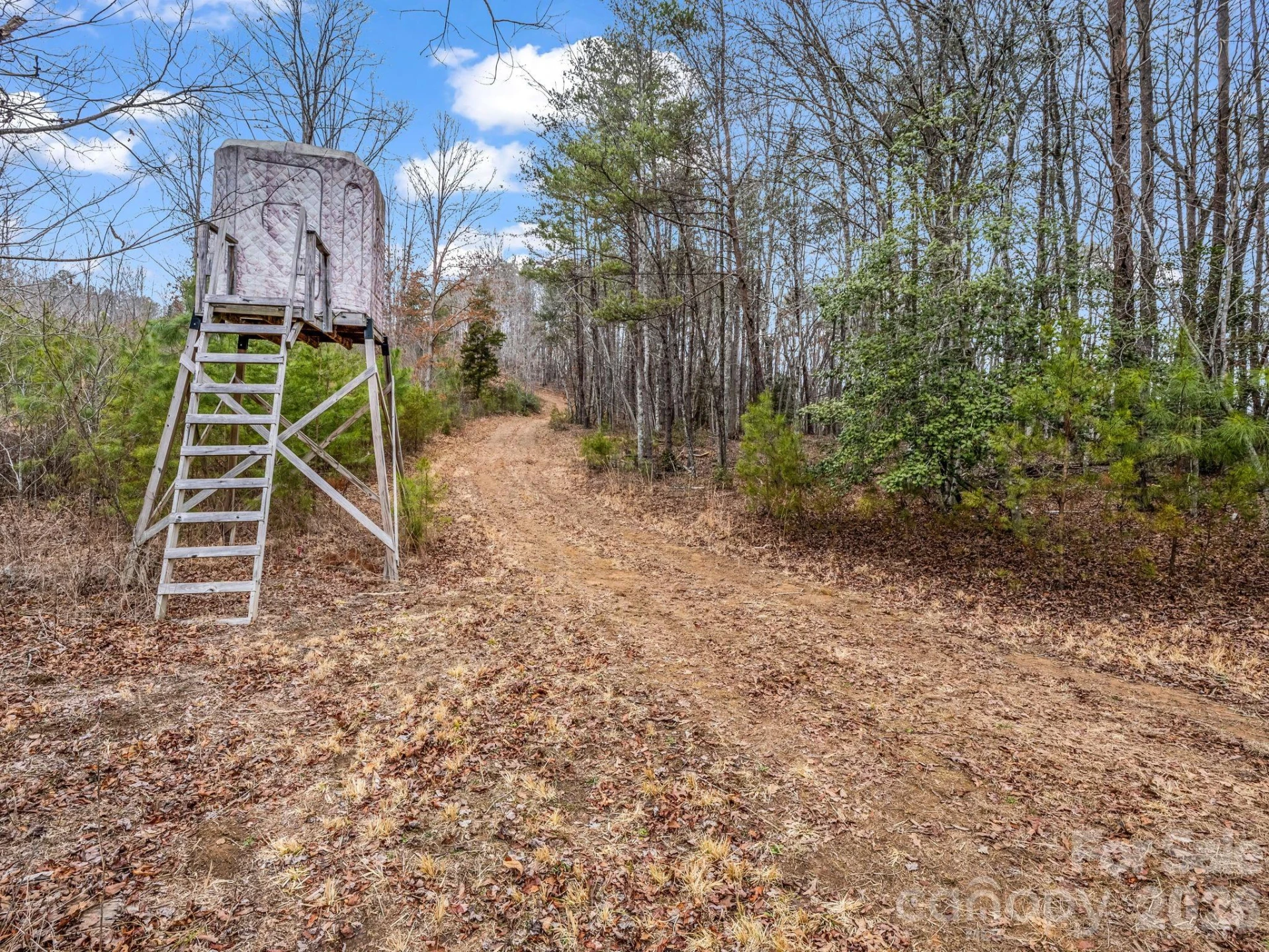 0 River Road - Photo 11