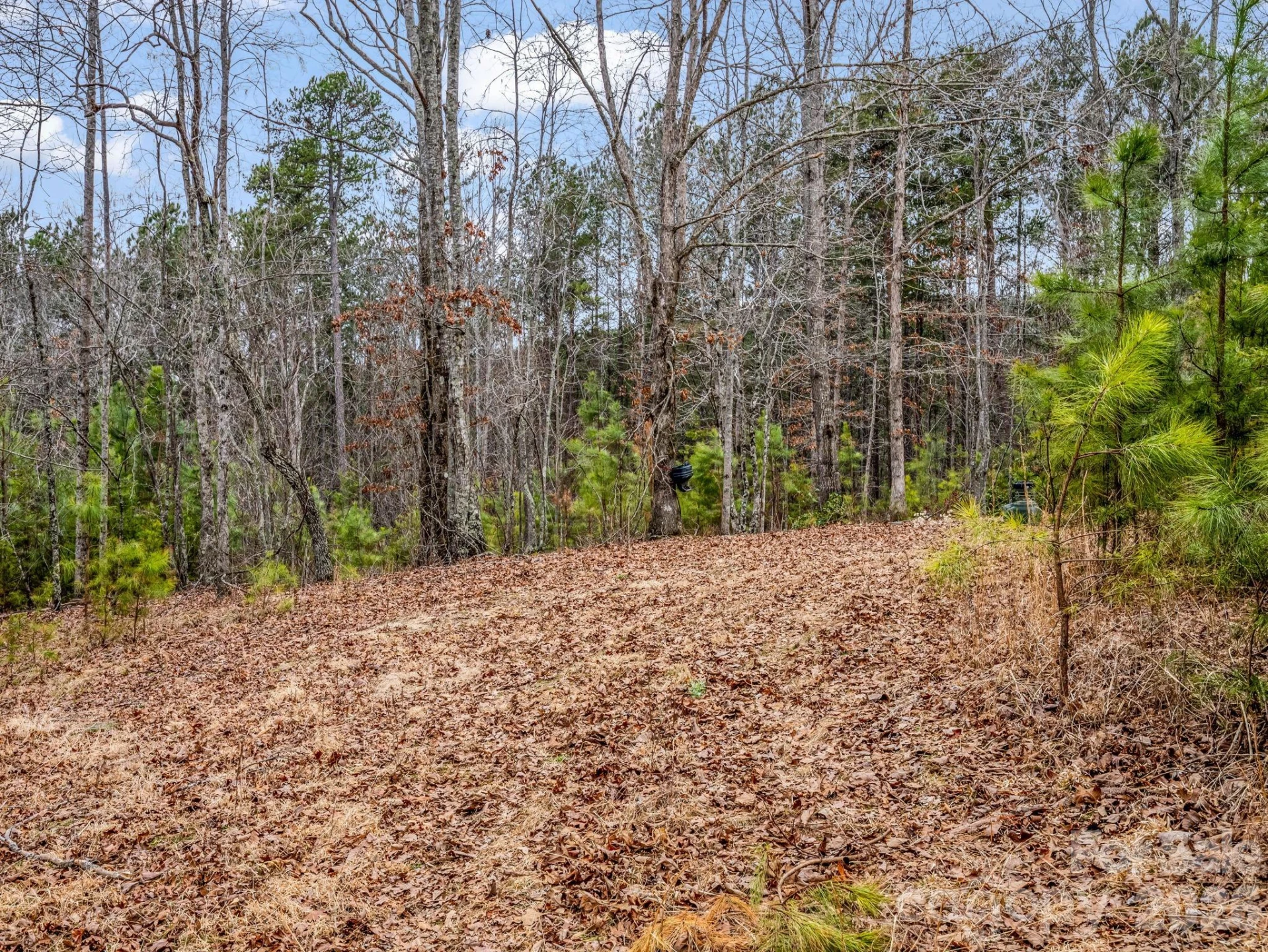 0 River Road - Photo 13
