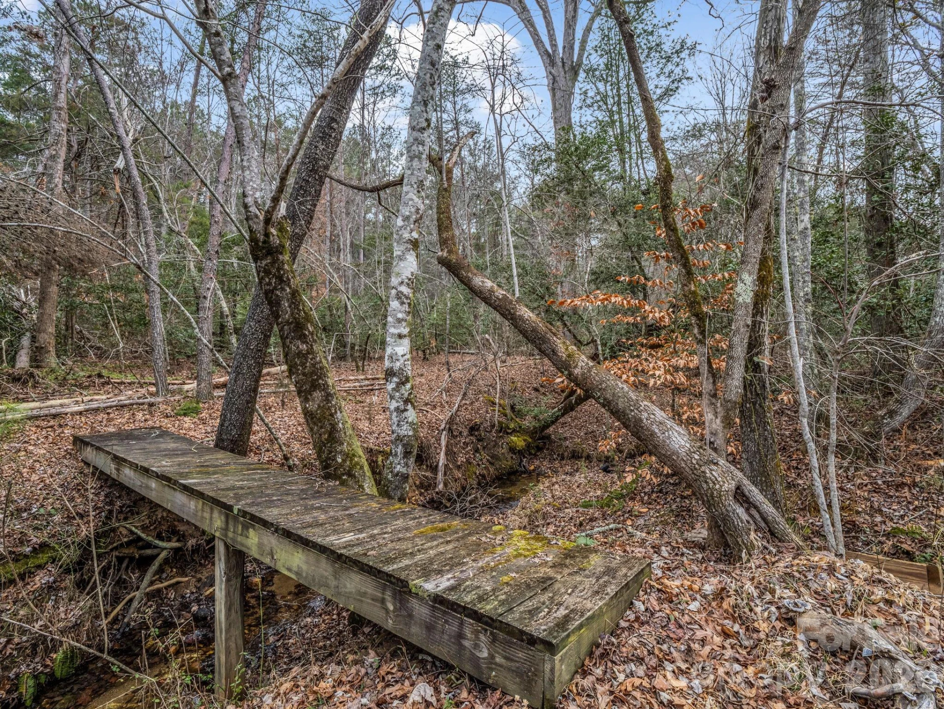 0 River Road - Photo 19