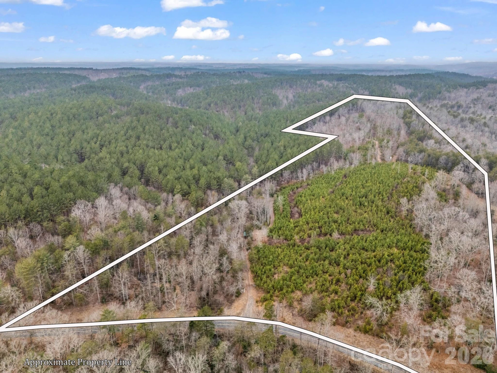 0 River Road - Photo 3