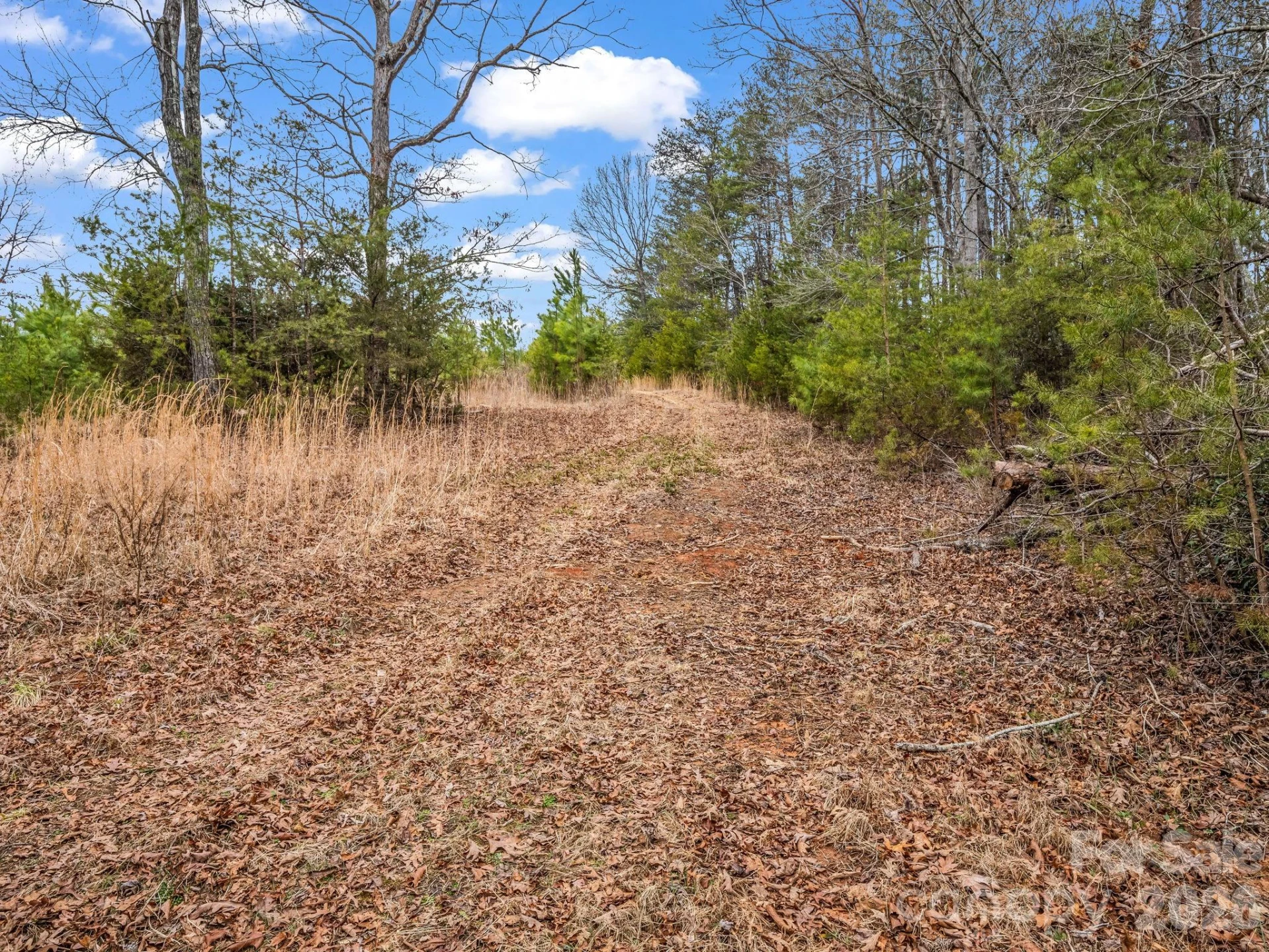 0 River Road - Photo 22
