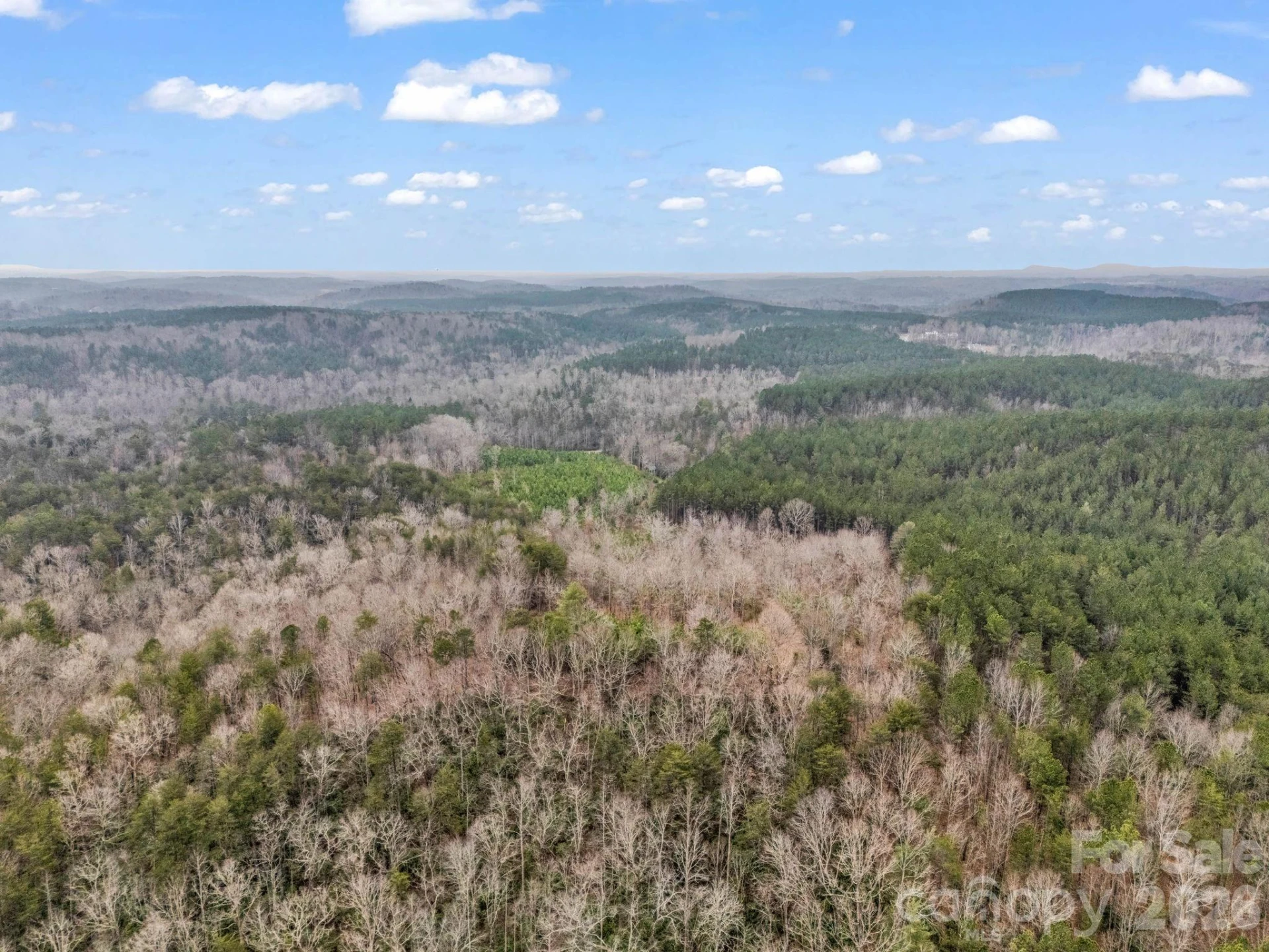 0 River Road - Photo 39