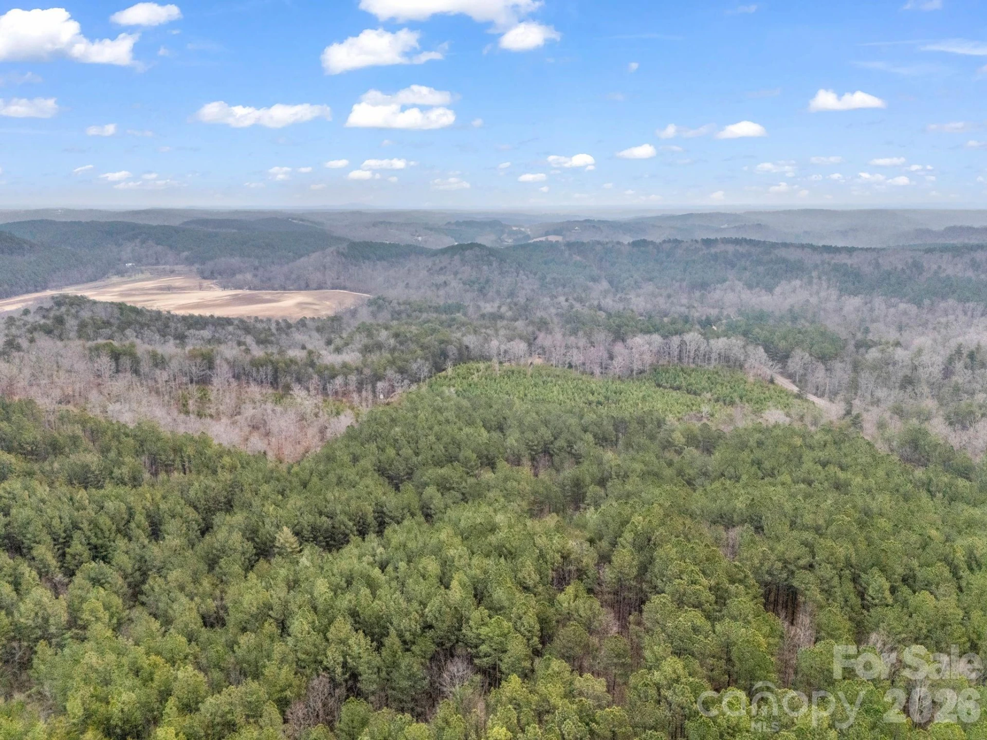 0 River Road - Photo 5